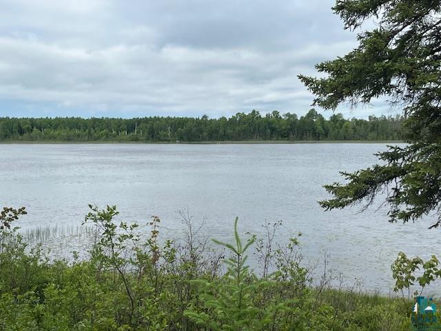 2217 Michael Beach Rd Zim MN 55738 - West Stone 6120266 image32