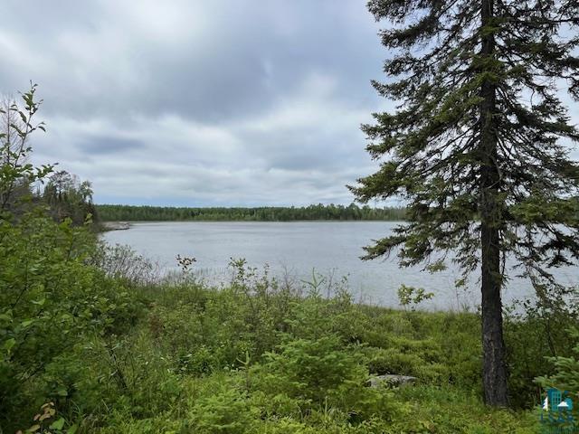 2217 Michael Beach Rd Zim MN 55738 - West Stone 6120266 image33