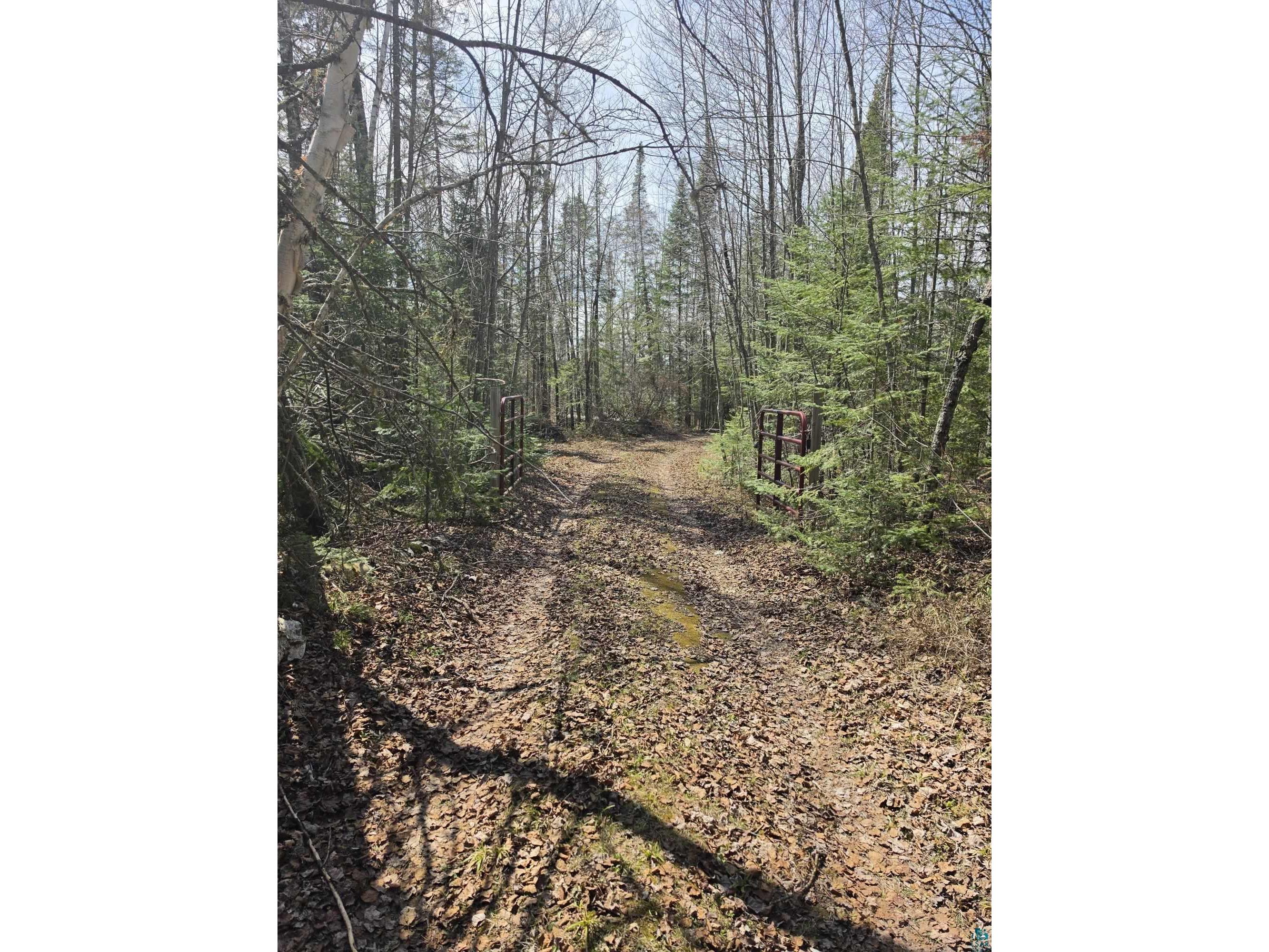 2217 Michael Beach Rd Zim MN 55738 - West Stone 6124992 image47