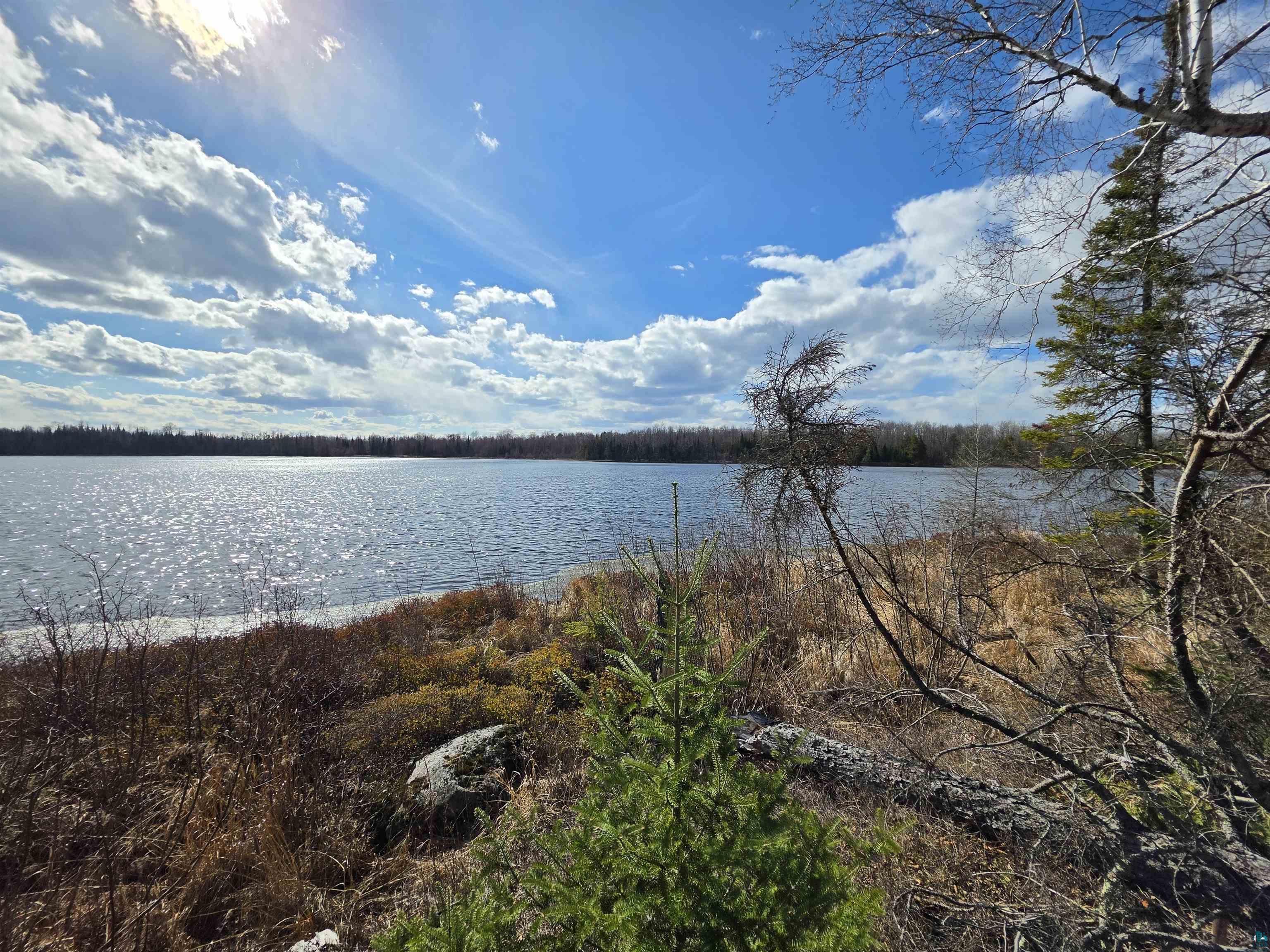 2217 Michael Beach Rd Zim MN 55738 - West Stone 6124992 image5