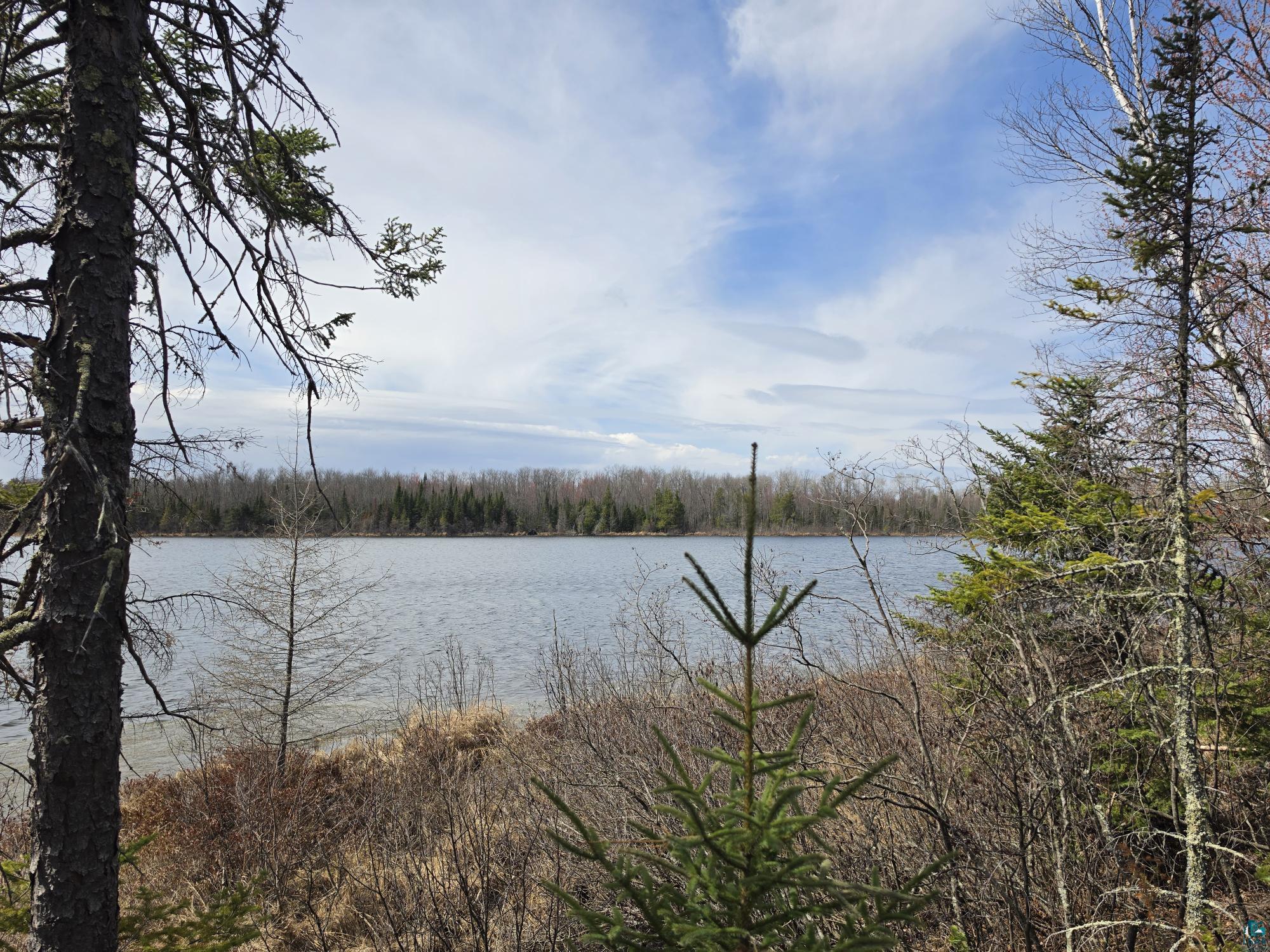 2217 Michael Beach Rd Zim MN 55738 - West Stone 6124992 image50