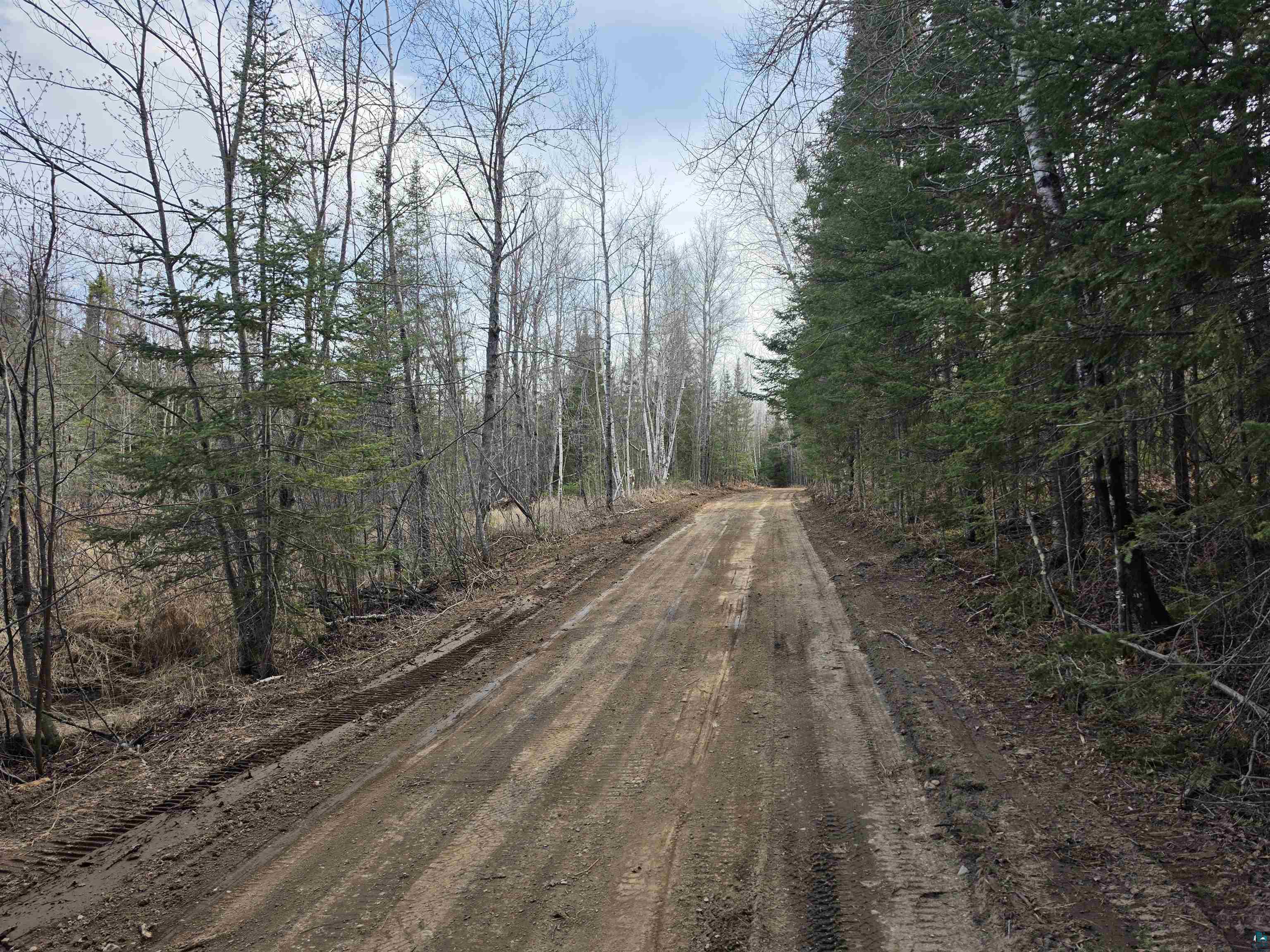 2217 Michael Beach Rd Zim MN 55738 - West Stone 6124992 image8