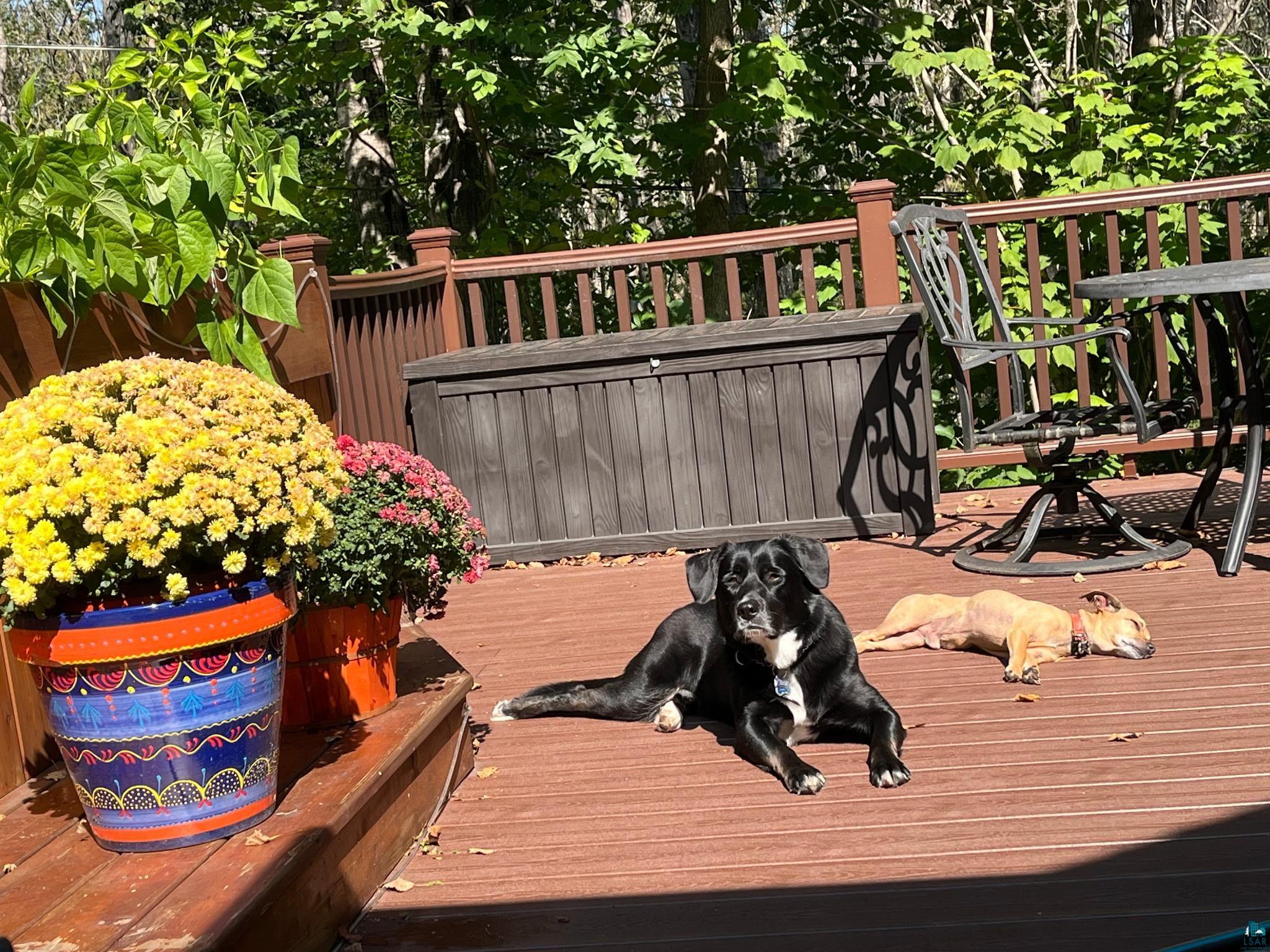 2223 Leonard St Duluth MN 55811 6123695 image22