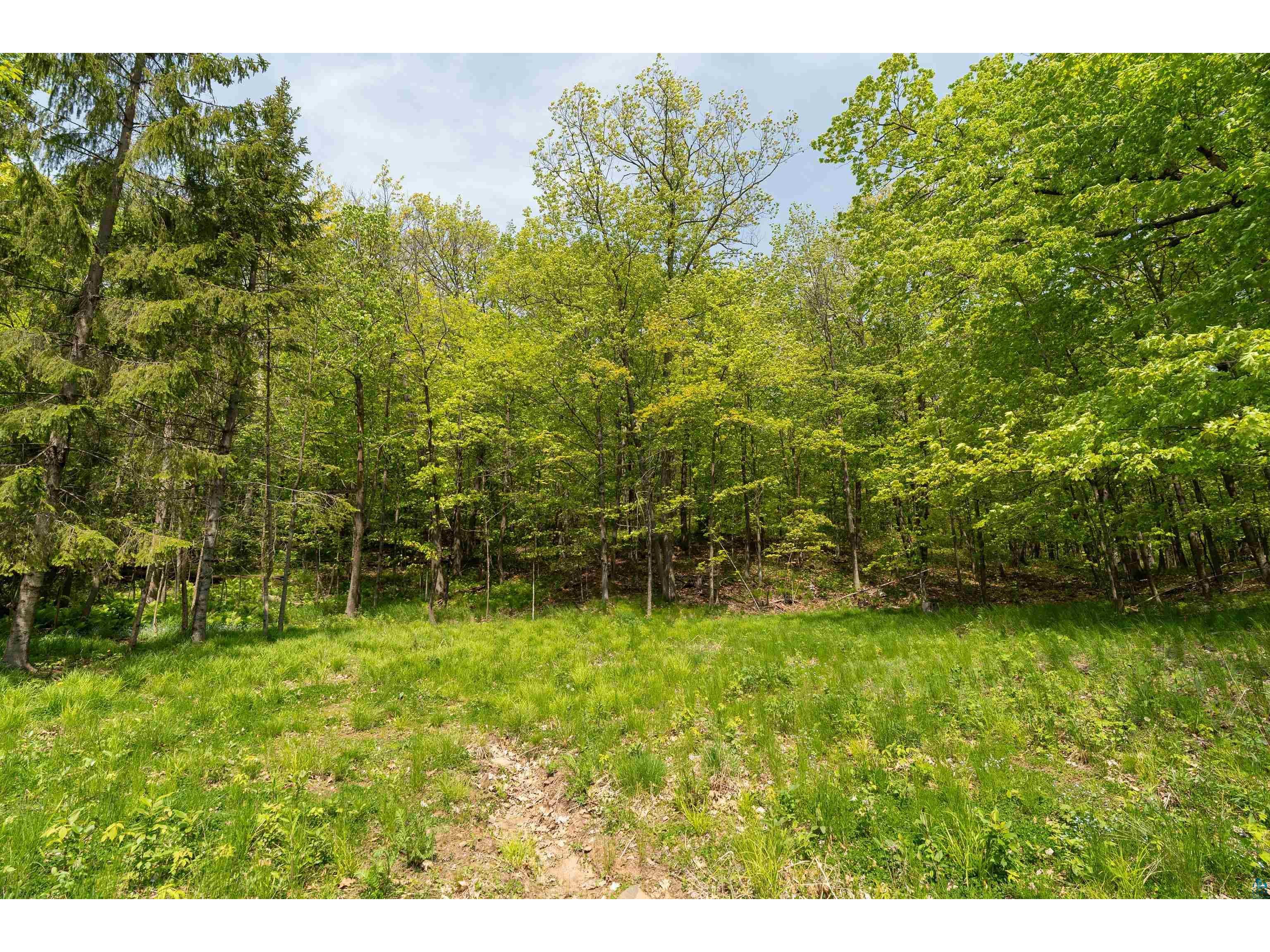 2234 Dunedin Ave Duluth MN 55803 6118645 image26