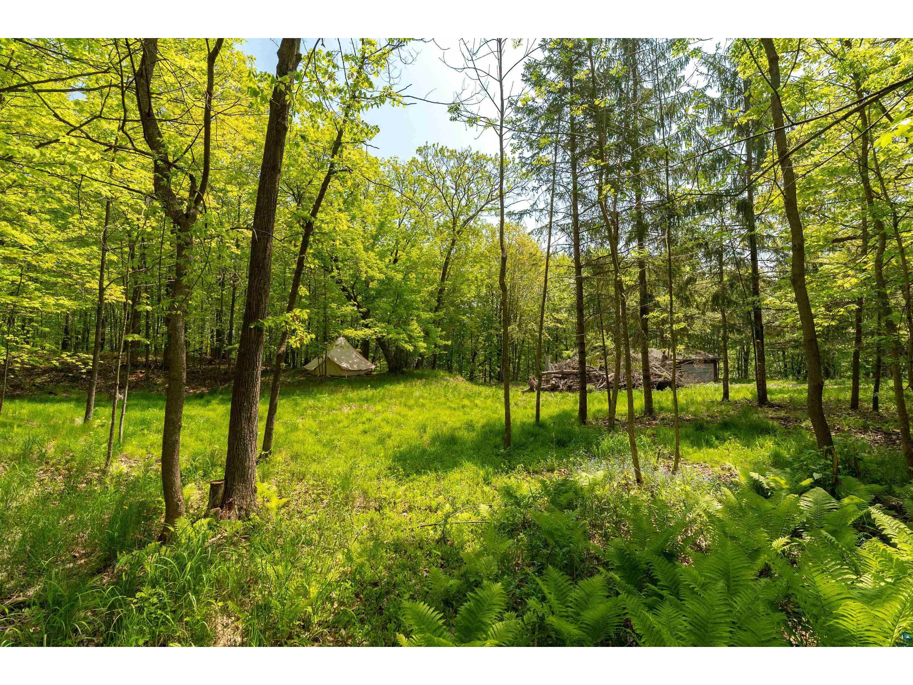 2234 Dunedin Ave Duluth MN 55803 6118645 image29