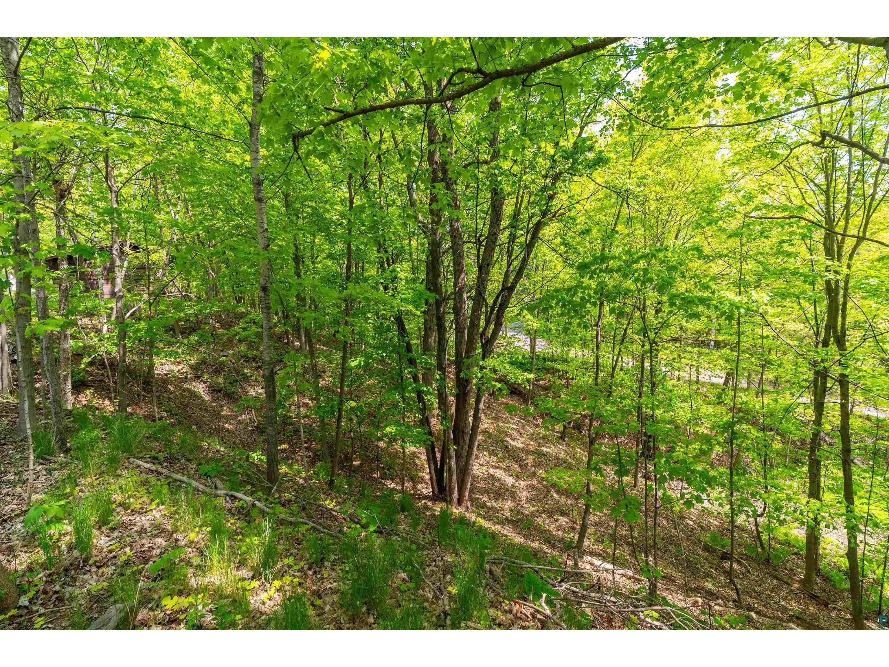 2234 Dunedin Ave Duluth MN 55803 6118645 image32