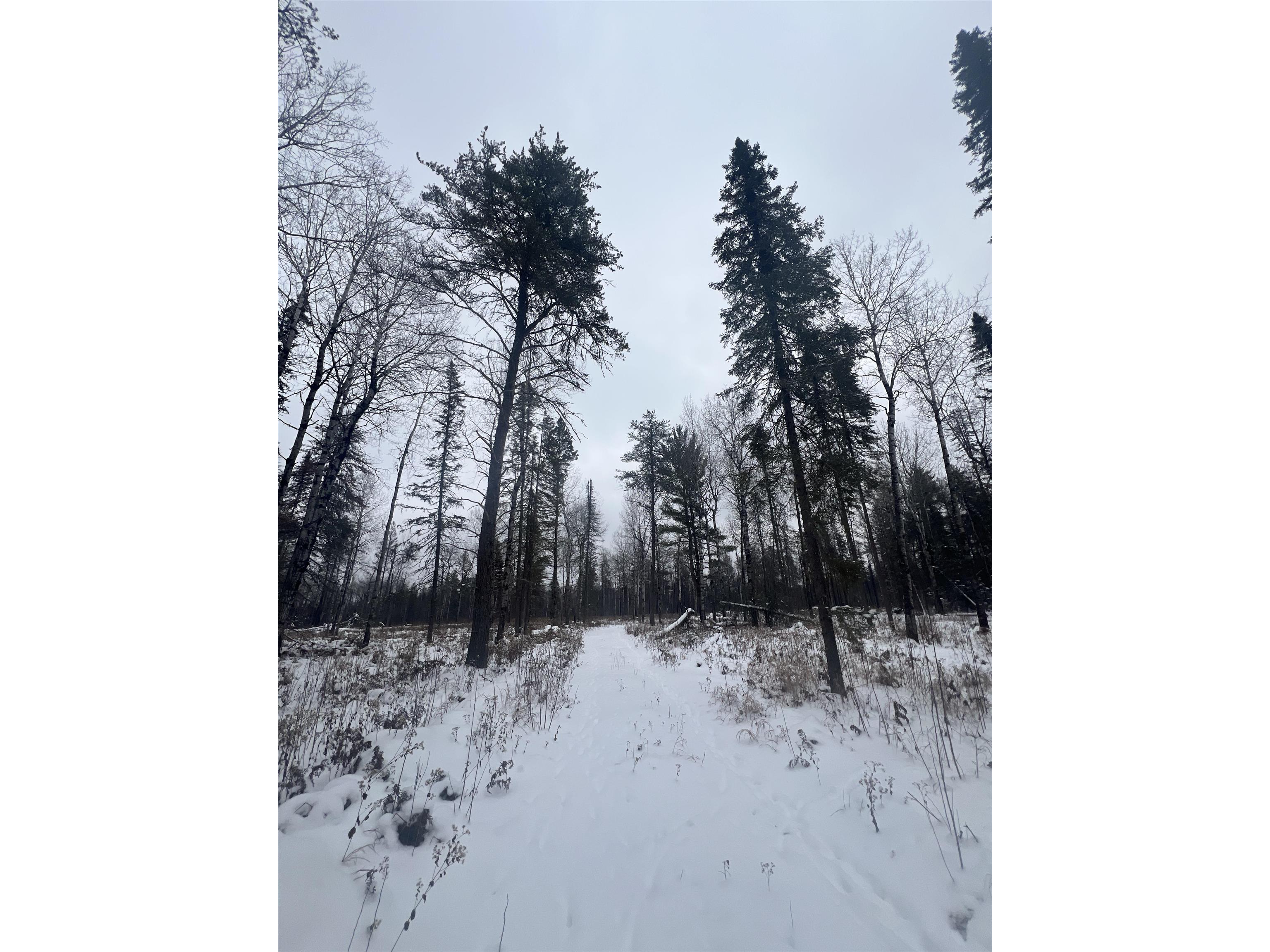 2260 Highway 44 Brimson MN 56602 6123080 image2