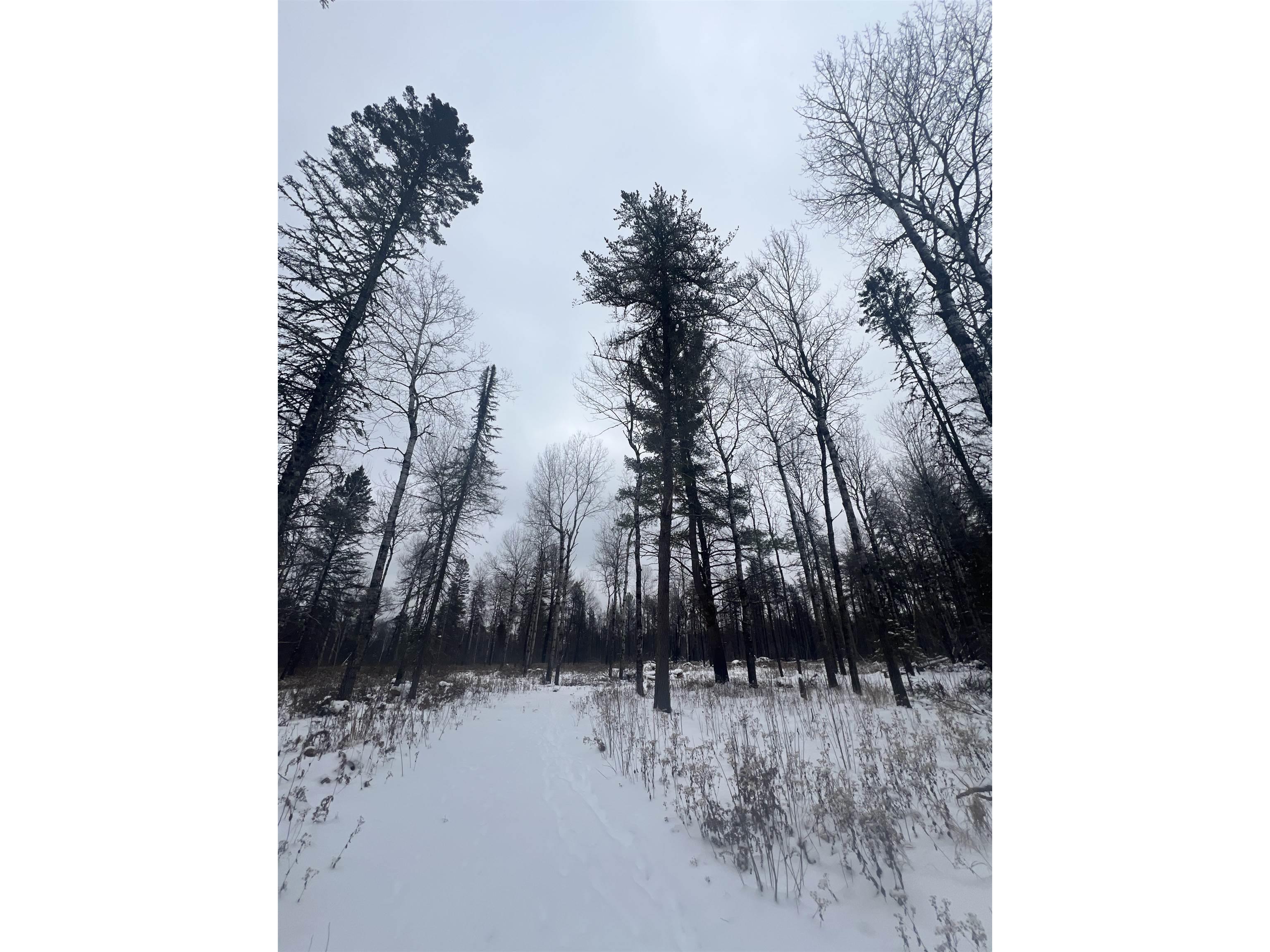 2260 Highway 44 Brimson MN 56602 6123080 image3