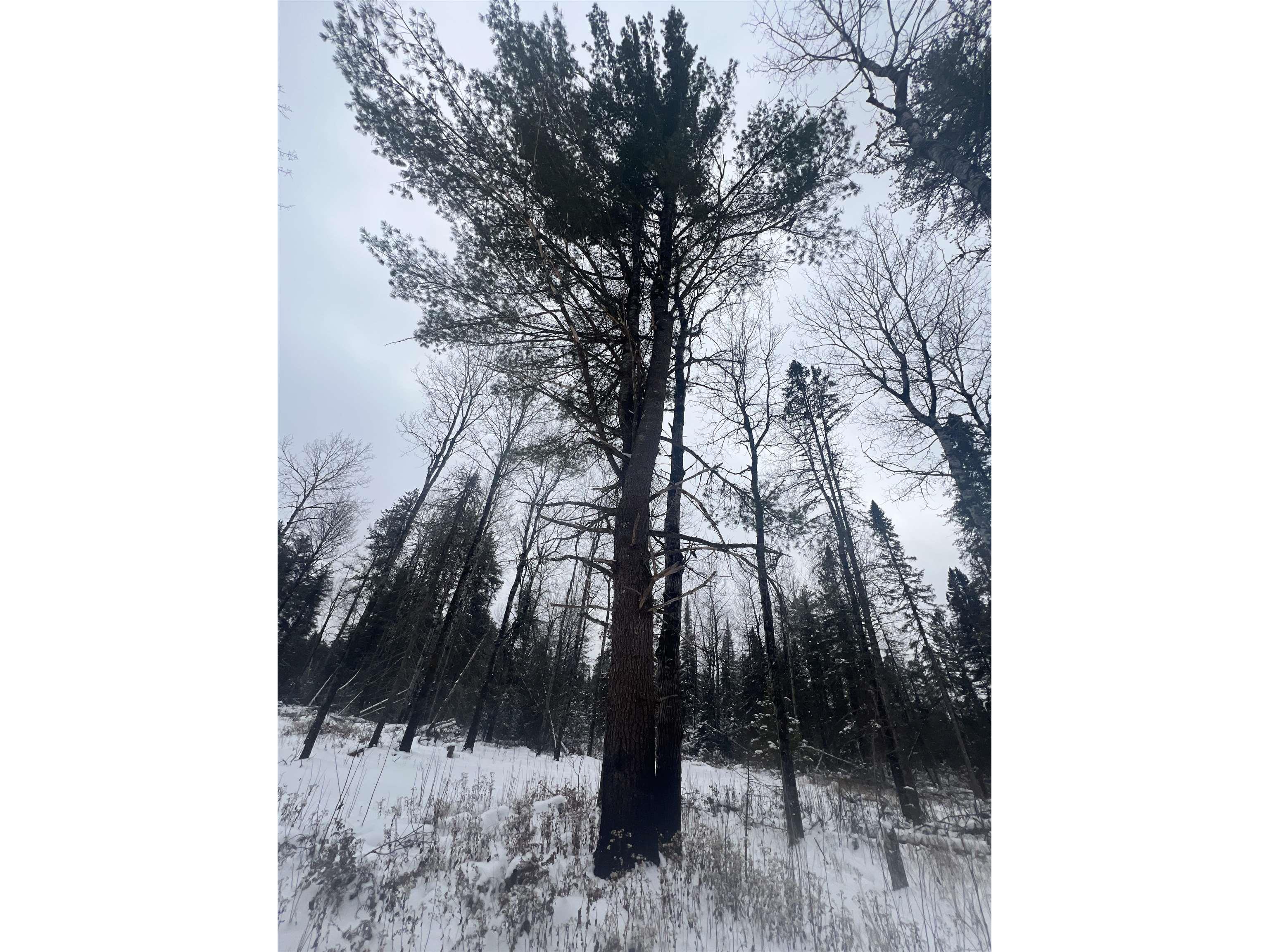 2260 Highway 44 Brimson MN 56602 6123080 image4