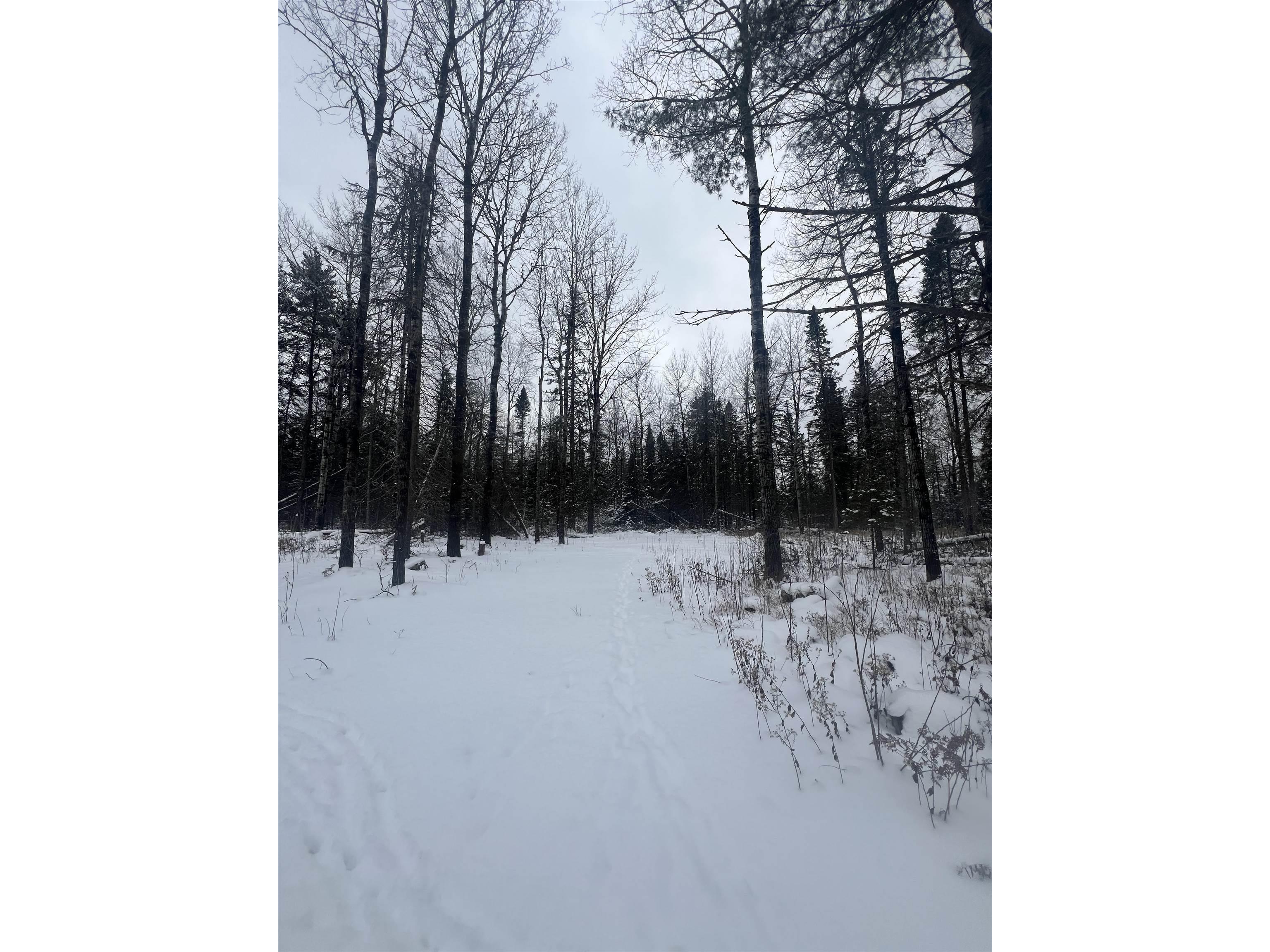 2260 Highway 44 Brimson MN 56602 6123080 image5