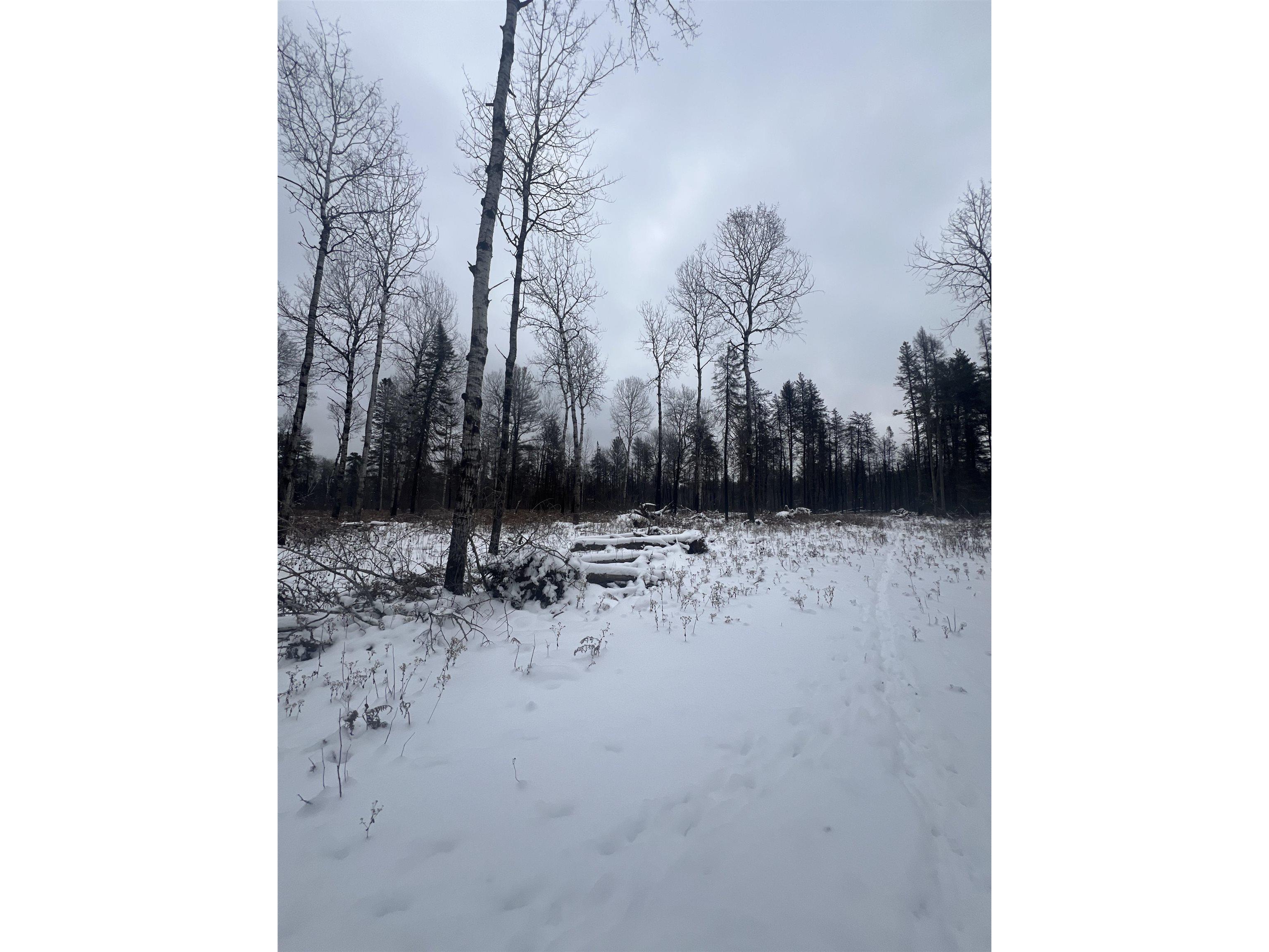 2260 Highway 44 Brimson MN 56602 6123080 image6