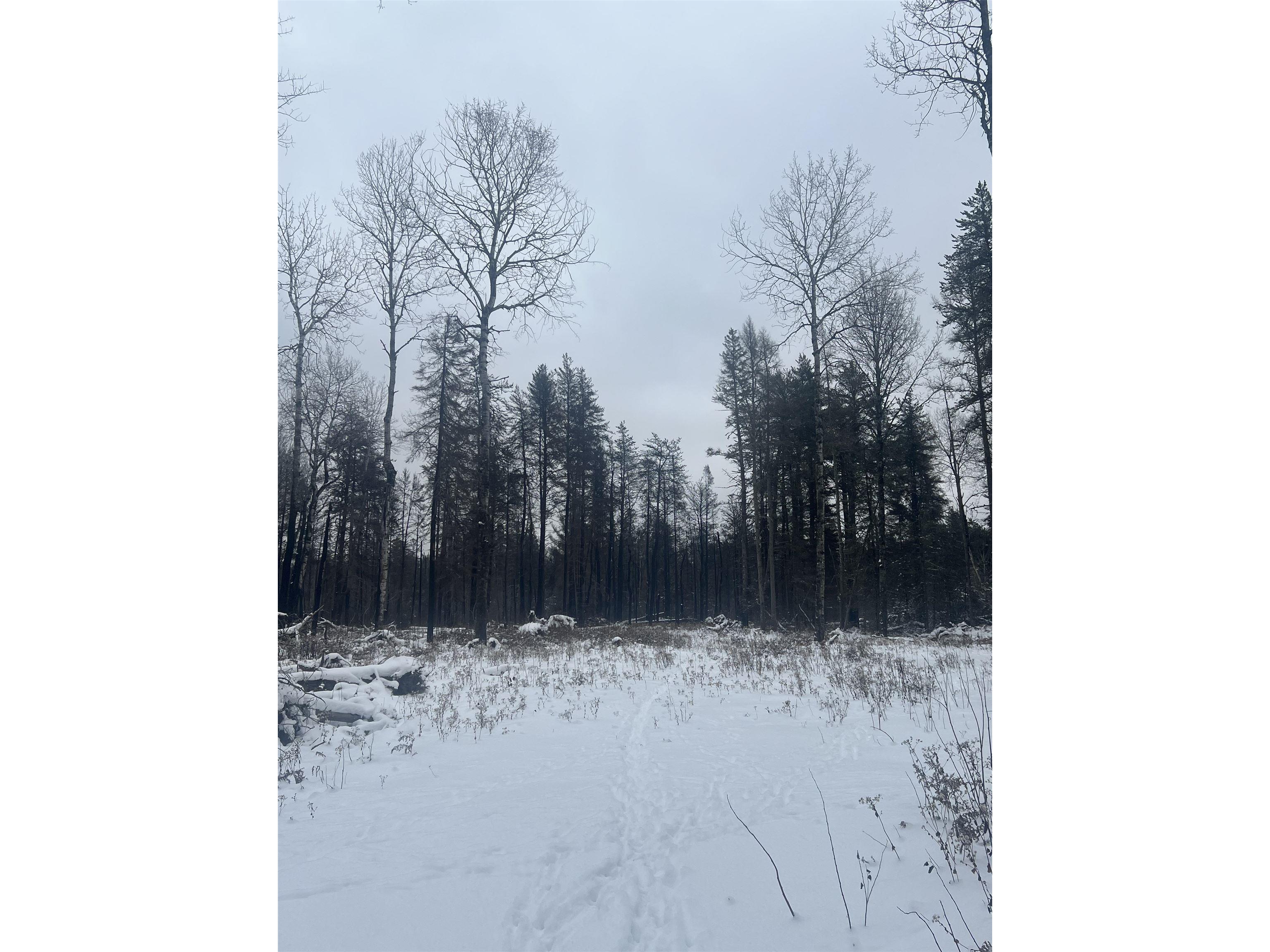 2260 Highway 44 Brimson MN 56602 6123080 image9