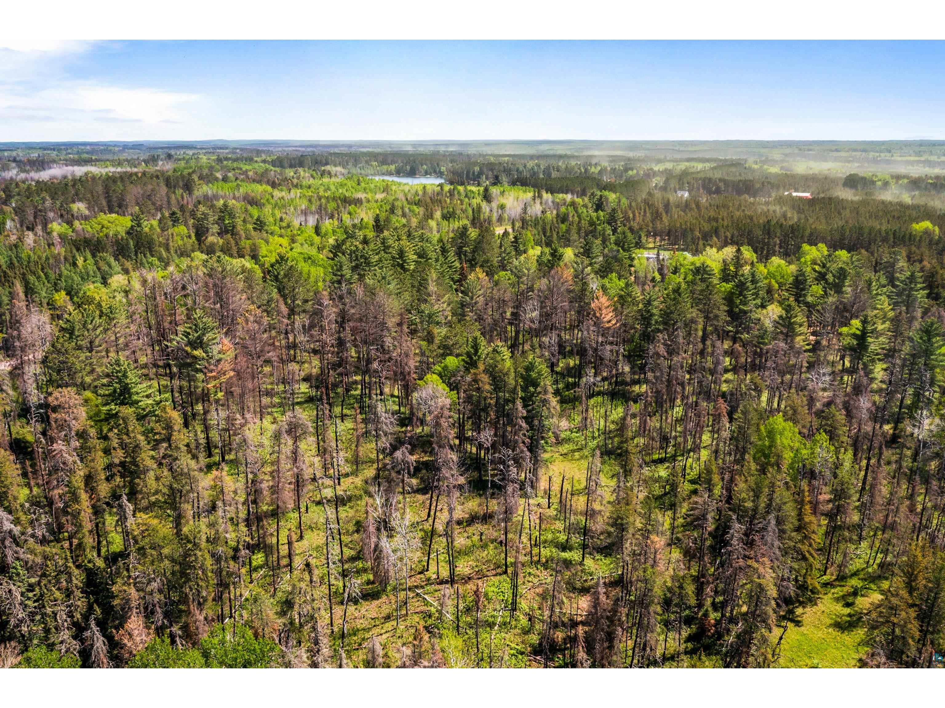 22XX Elo Rd Brimson MN 55602 6125848 image38