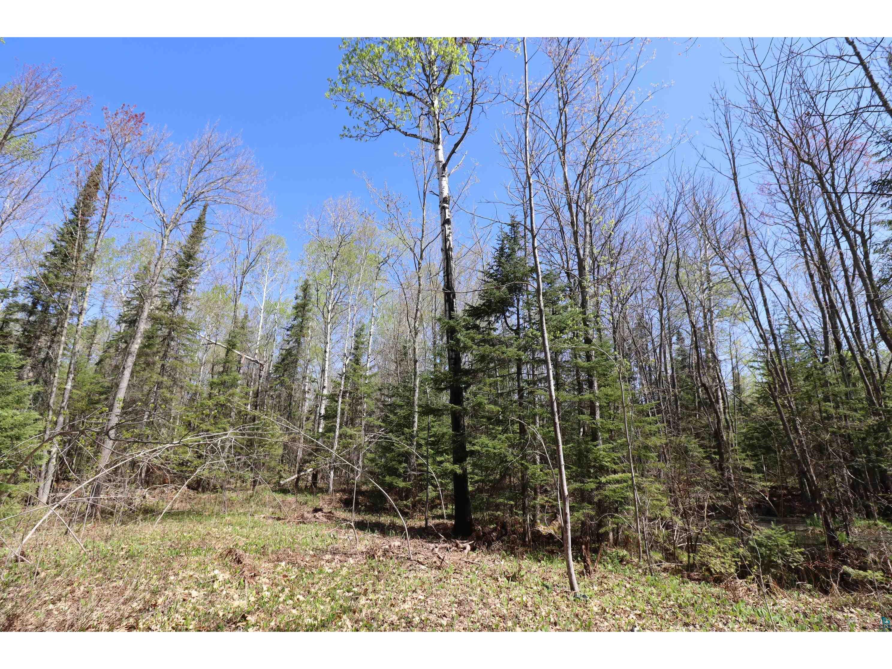23540 State Hwy 13 Cornucopia WI 54827 6124317 image34