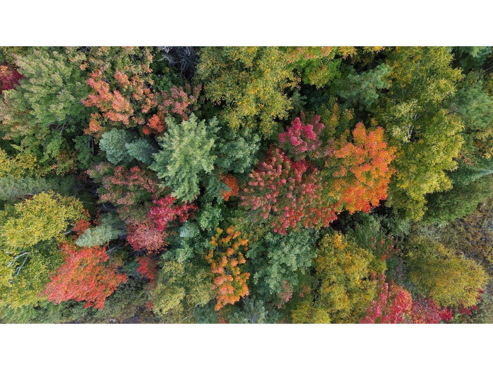 2375 Viste Point Rd Ely MN 55731 - Burntside Lake 6121907 image75