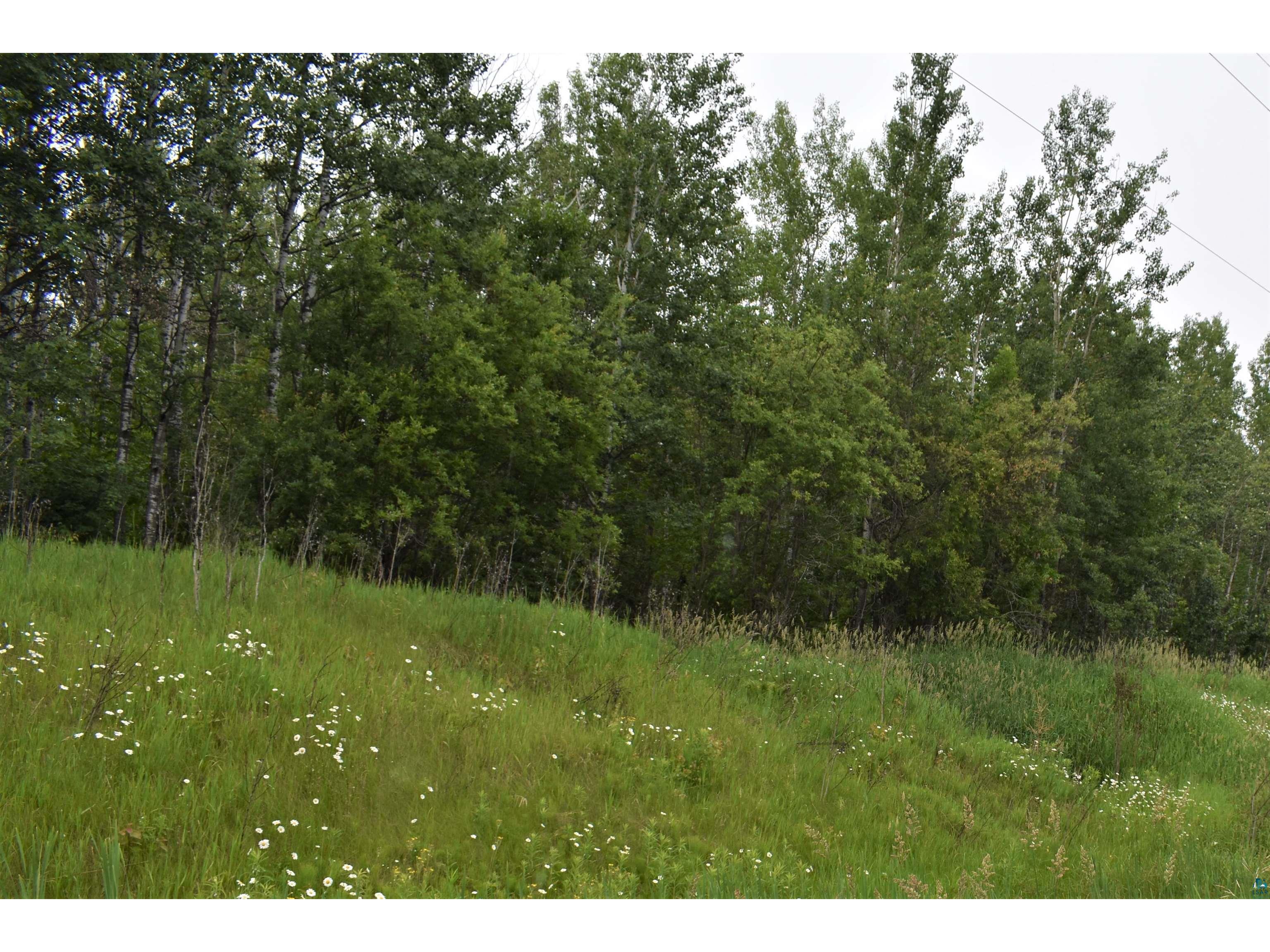 23XX County Rd 7 Grand Marais MN 55604 6109044 image1