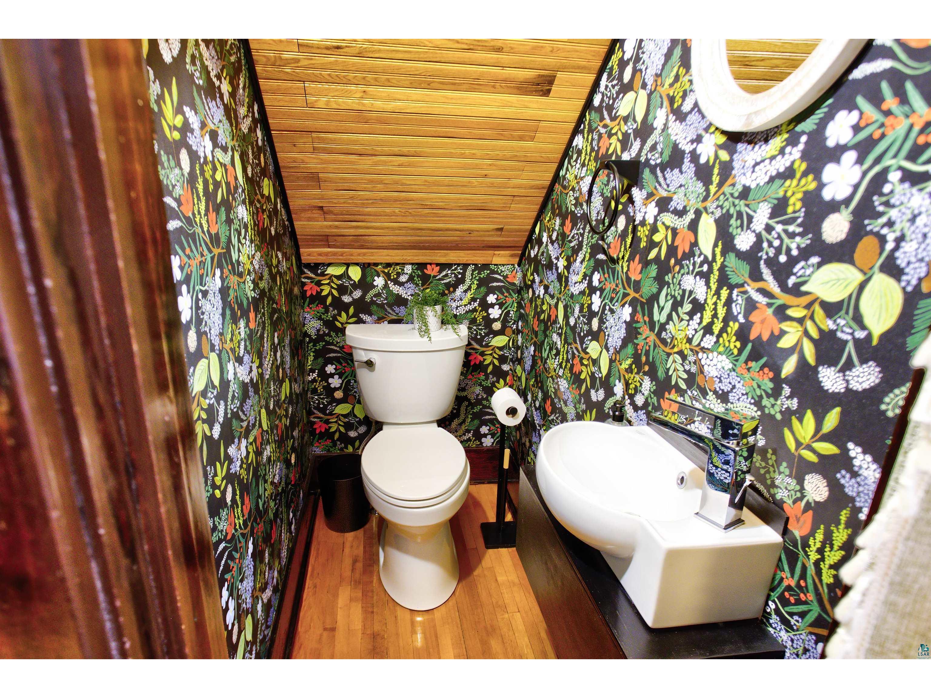 24 E Conan St Ely MN 55731 6125016 image22
