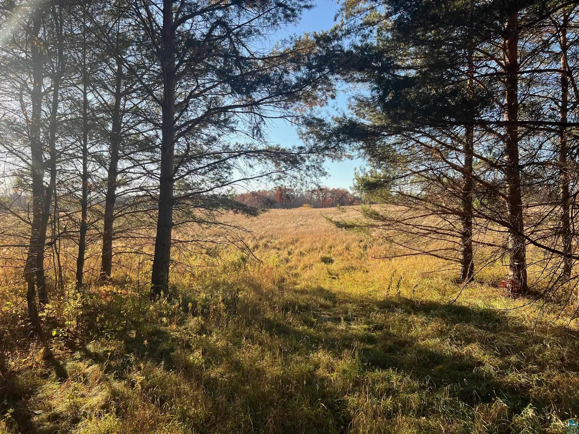 240th Avenue Aitkin MN 56431 6116739 image1