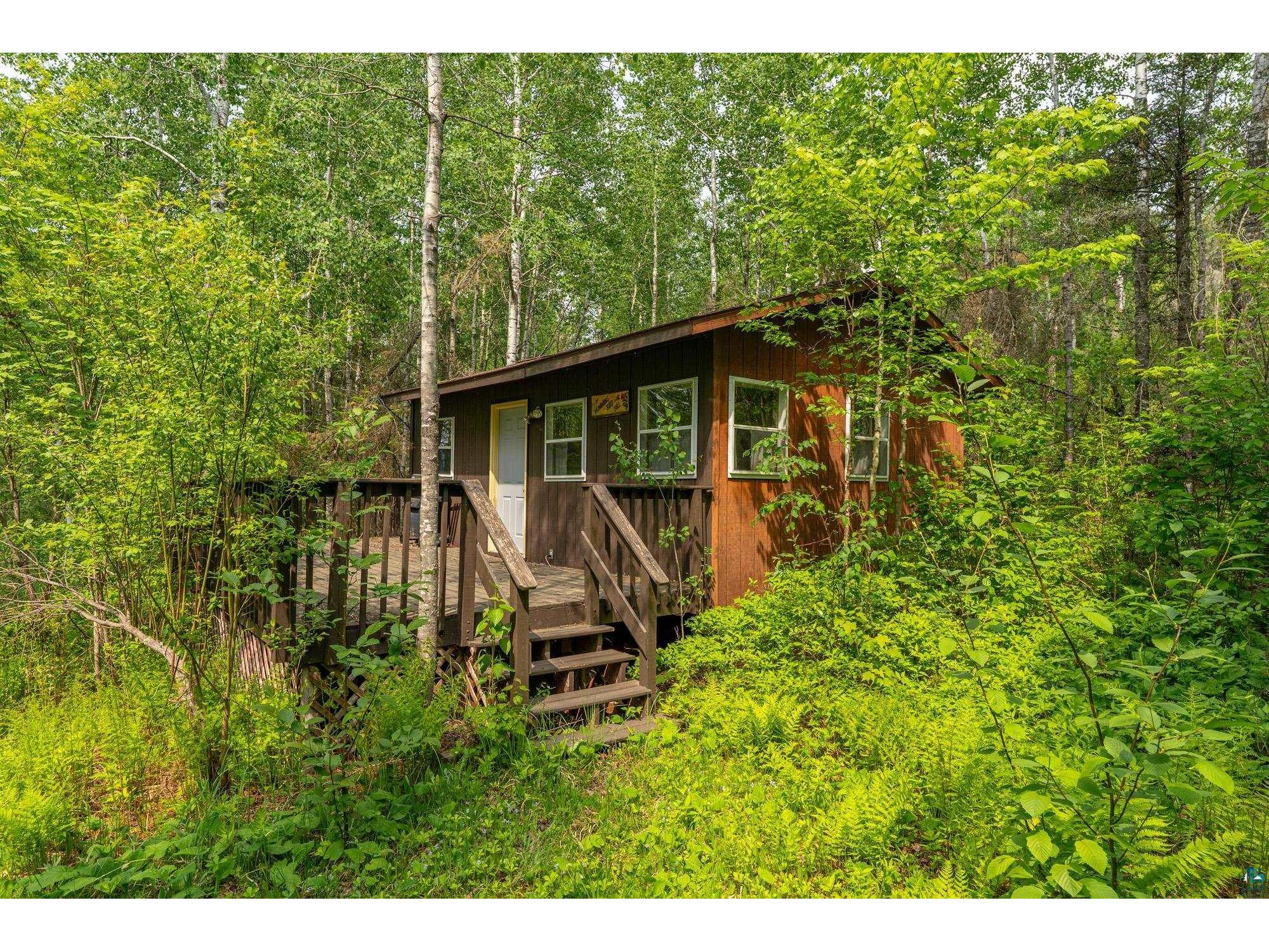 2445 Reed Rd Ely MN 55731 - Burntside Lake 6124998 image57