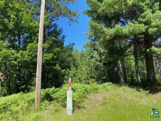 2448 E Cabin Circle Road Makinen MN 55763 - Whiteface 6126870 image17