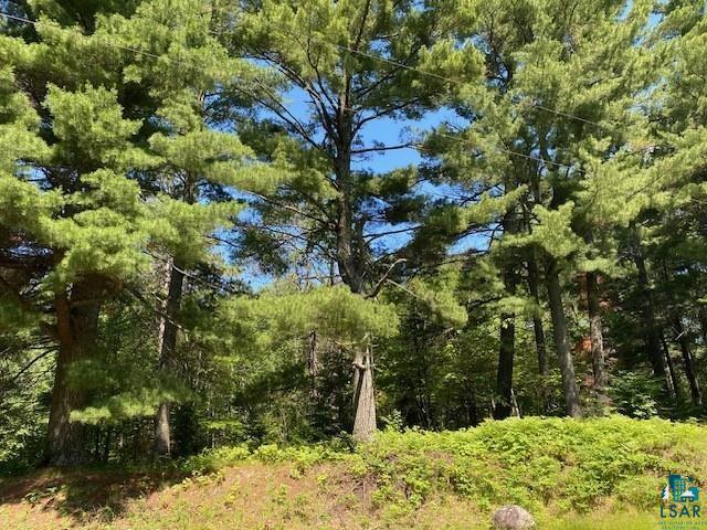 2448 E Cabin Circle Road Makinen MN 55763 - Whiteface 6126870 image18