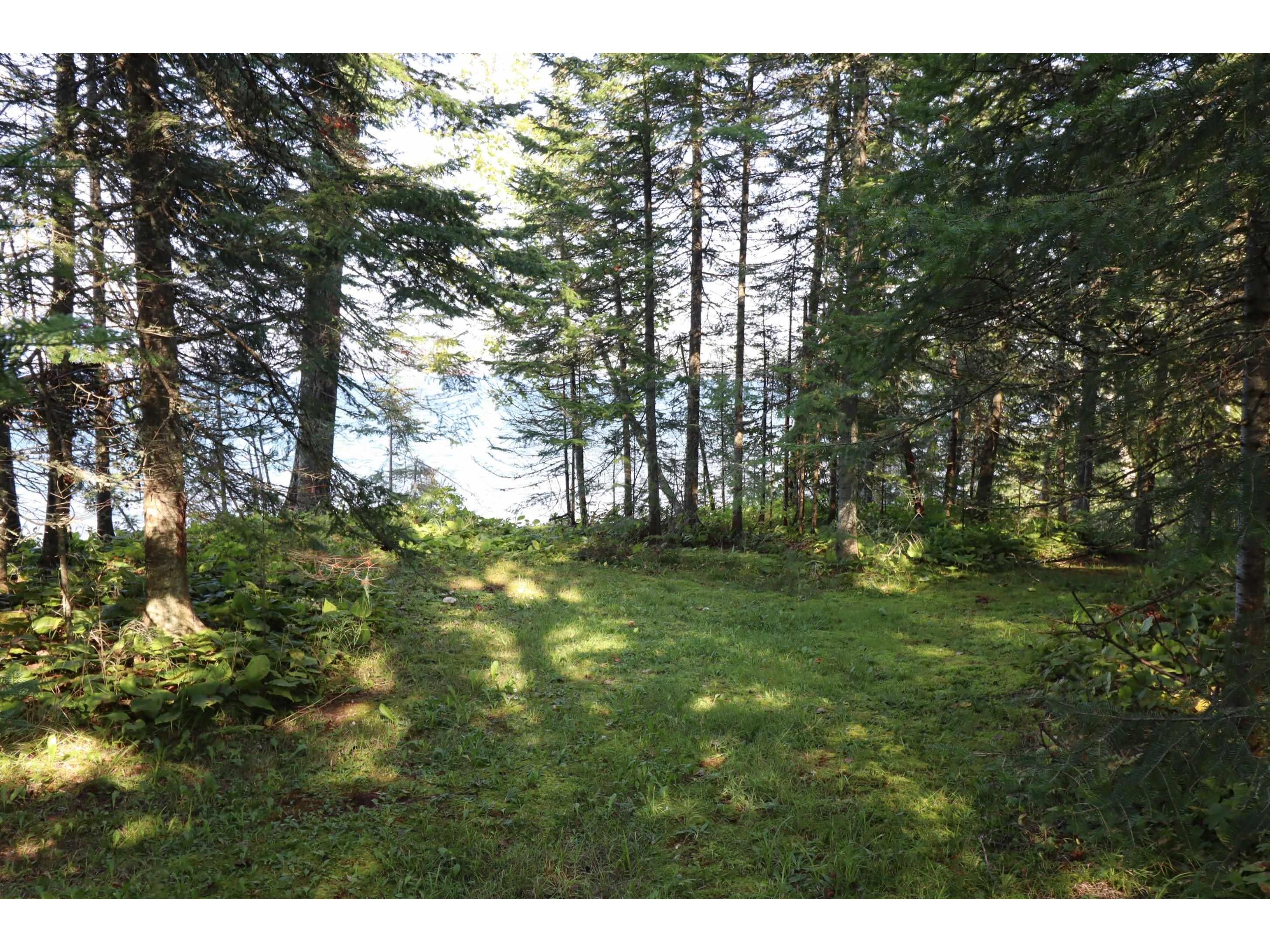 24XXX Lupine Ln Cornucopia WI 54827 - Lake Superior 6121906 image14