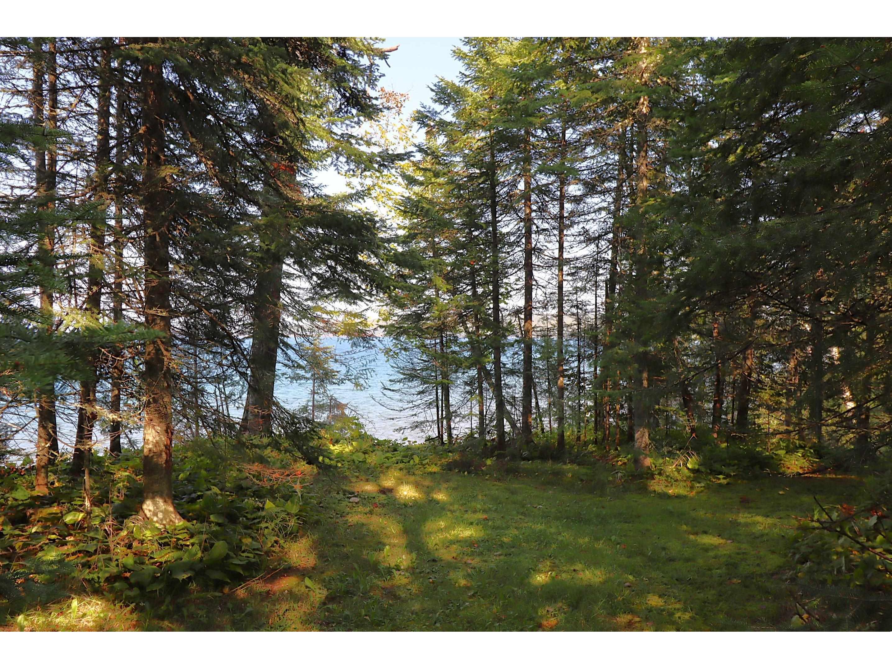 24XXX Lupine Ln Cornucopia WI 54827 - Lake Superior 6121906 image15