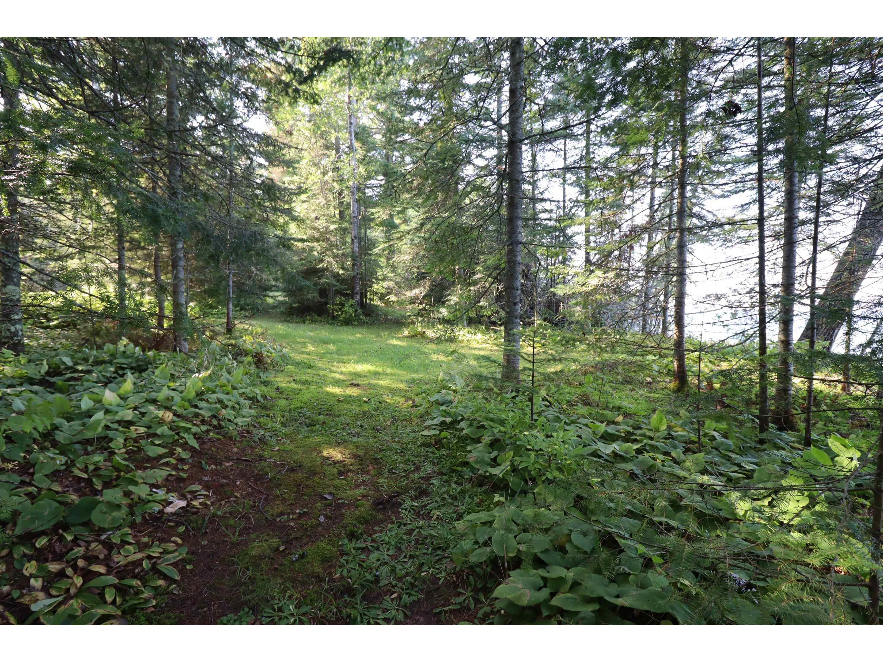 24XXX Lupine Ln Cornucopia WI 54827 - Lake Superior 6121906 image24