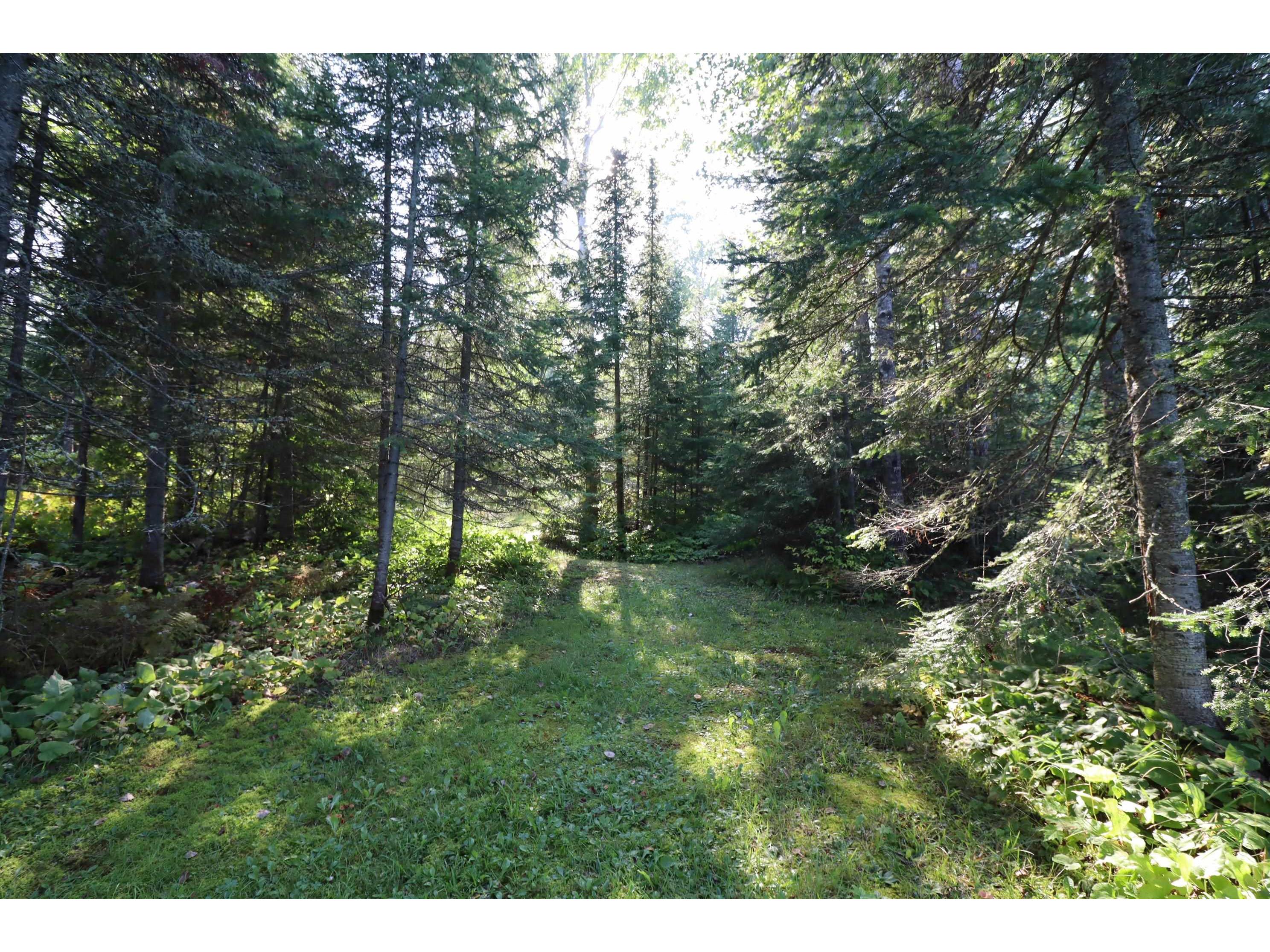 24XXX Lupine Ln Cornucopia WI 54827 - Lake Superior 6121906 image25