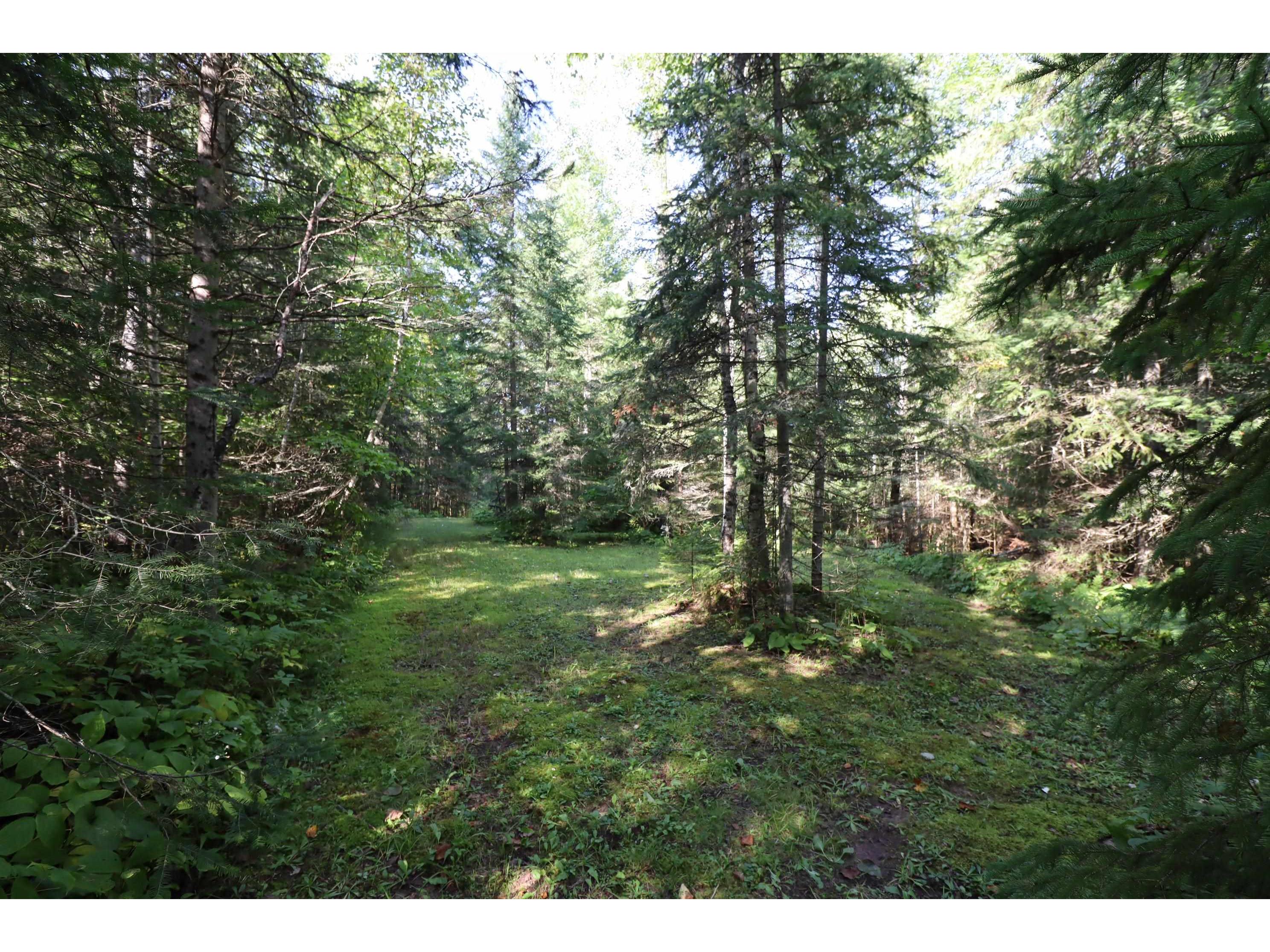 24XXX Lupine Ln Cornucopia WI 54827 - Lake Superior 6121906 image26