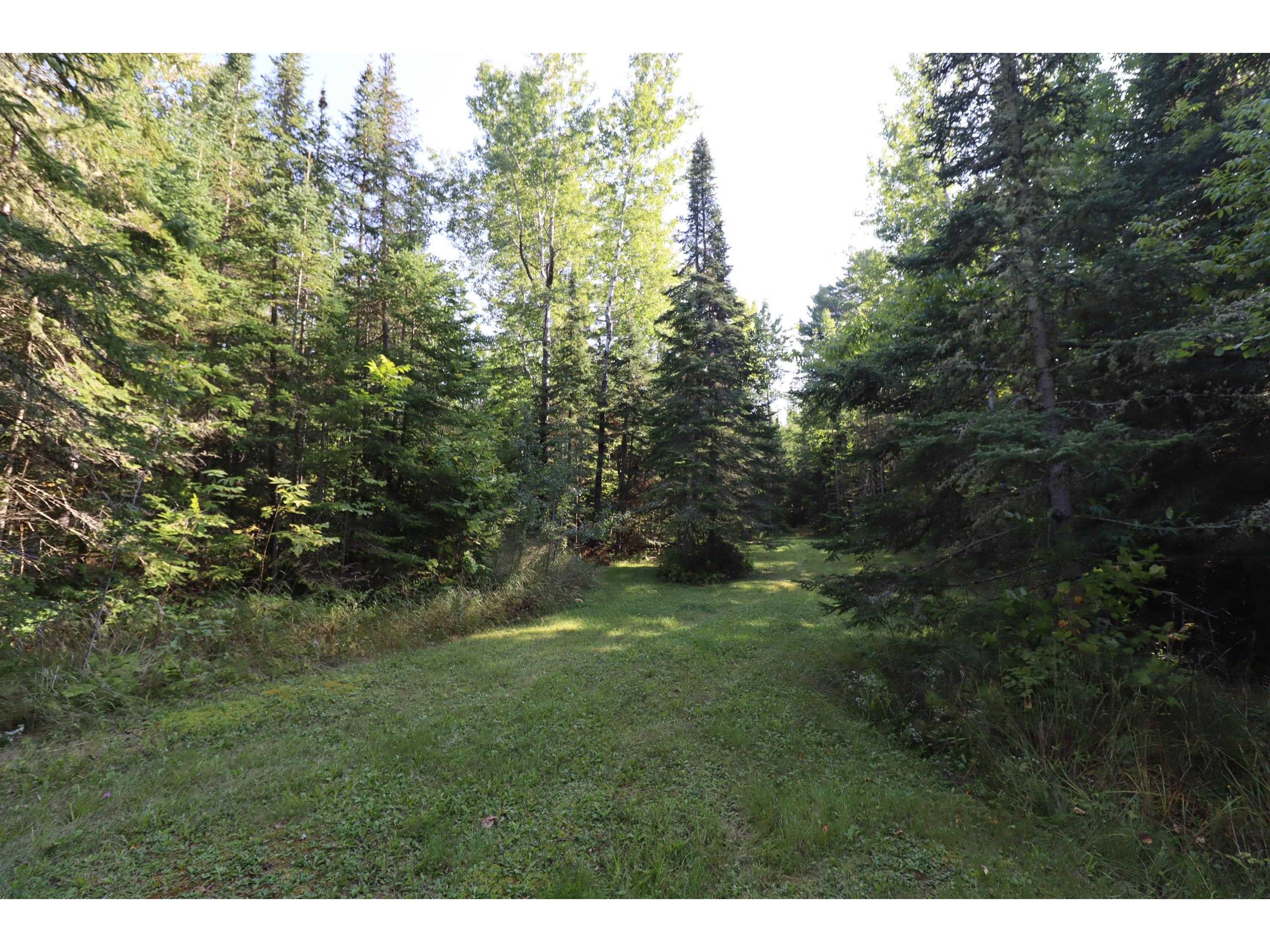 24XXX Lupine Ln Cornucopia WI 54827 - Lake Superior 6121906 image28