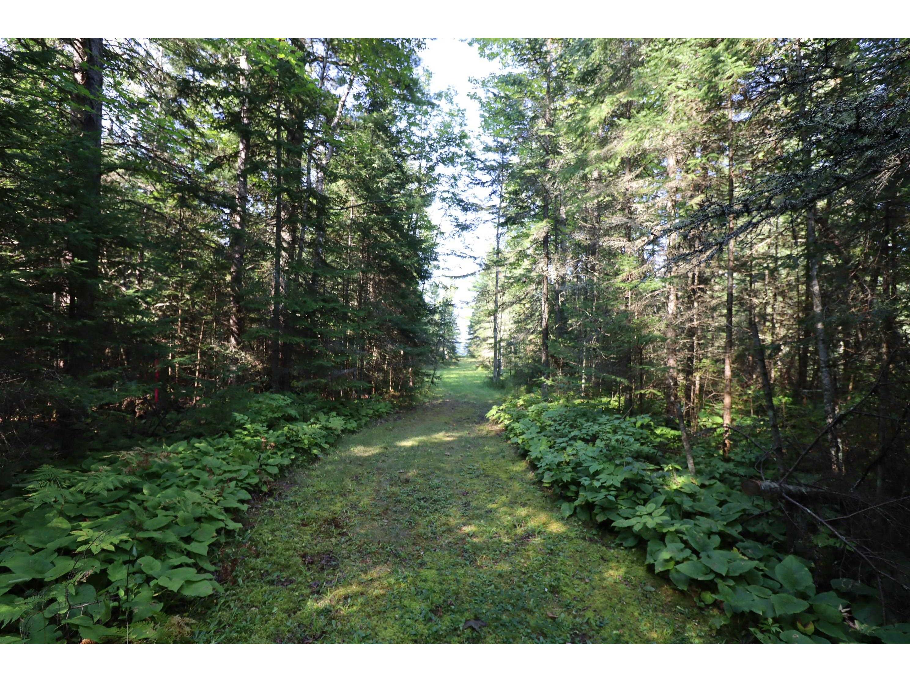 24XXX Lupine Ln Cornucopia WI 54827 - Lake Superior 6121906 image6