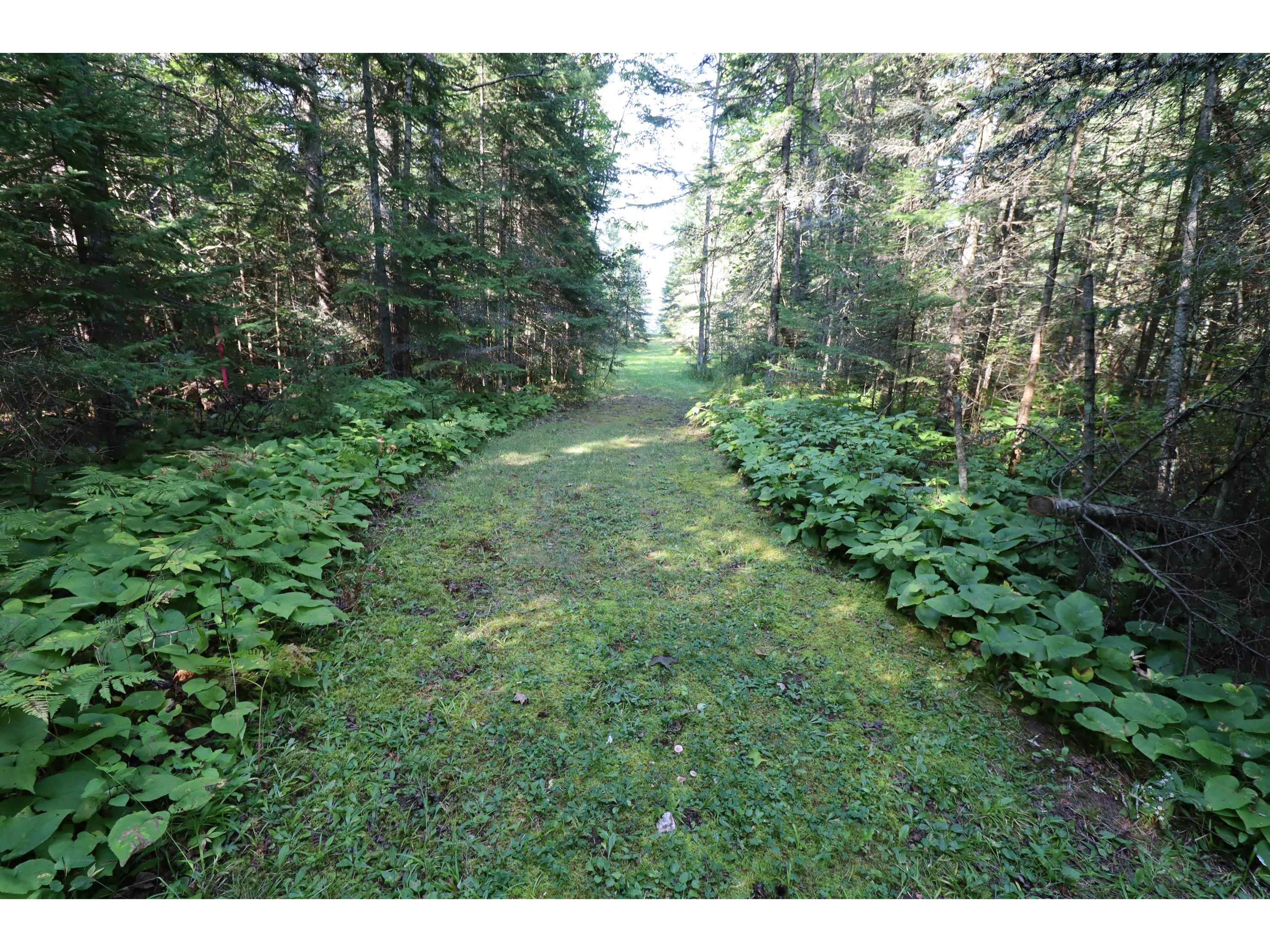 24XXX Lupine Ln Cornucopia WI 54827 - Lake Superior 6121906 image7