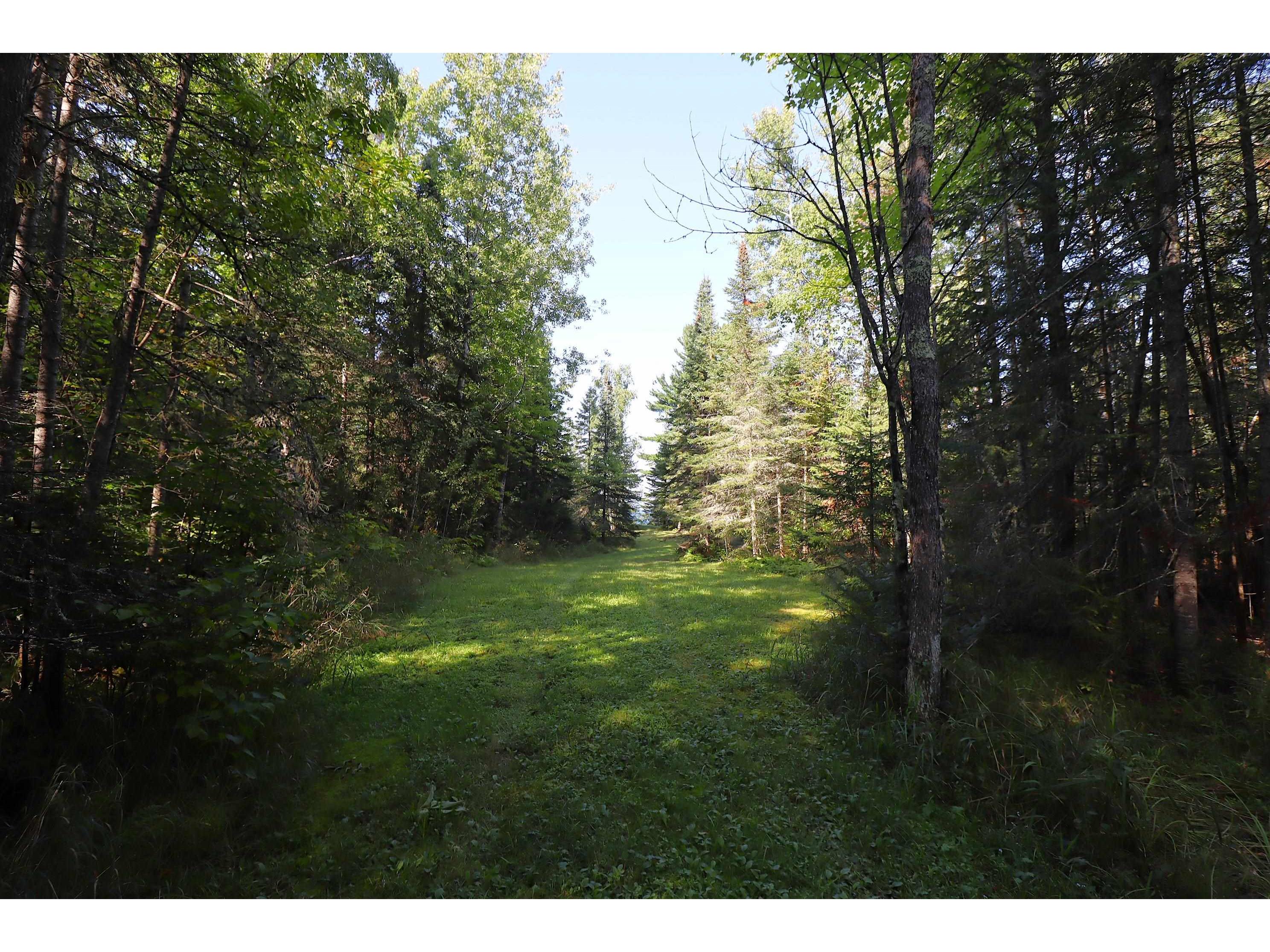 24XXX Lupine Ln Cornucopia WI 54827 - Lake Superior 6121906 image8