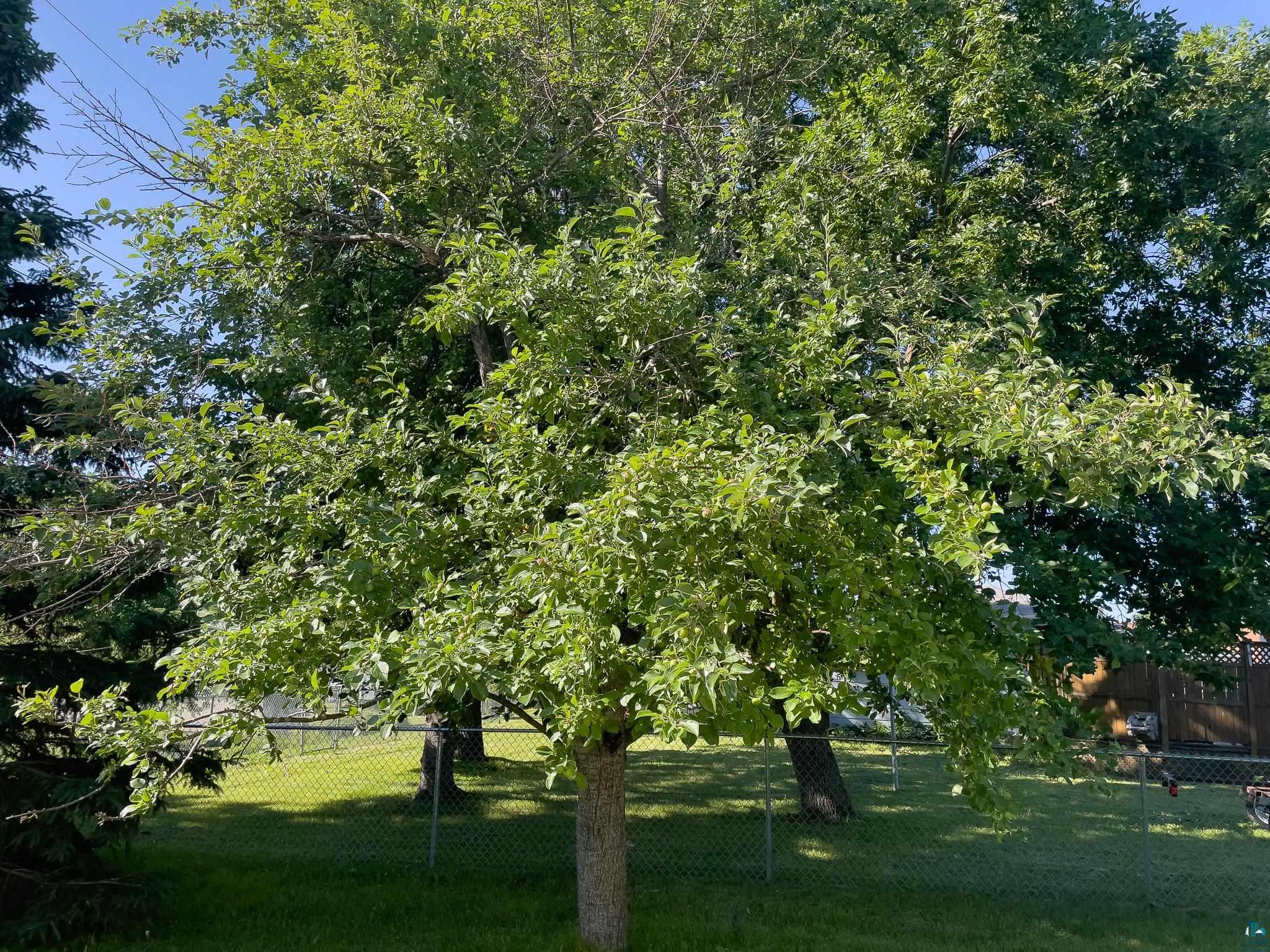 25 Gibson Rd Silver Bay MN 55614 6126800 image31