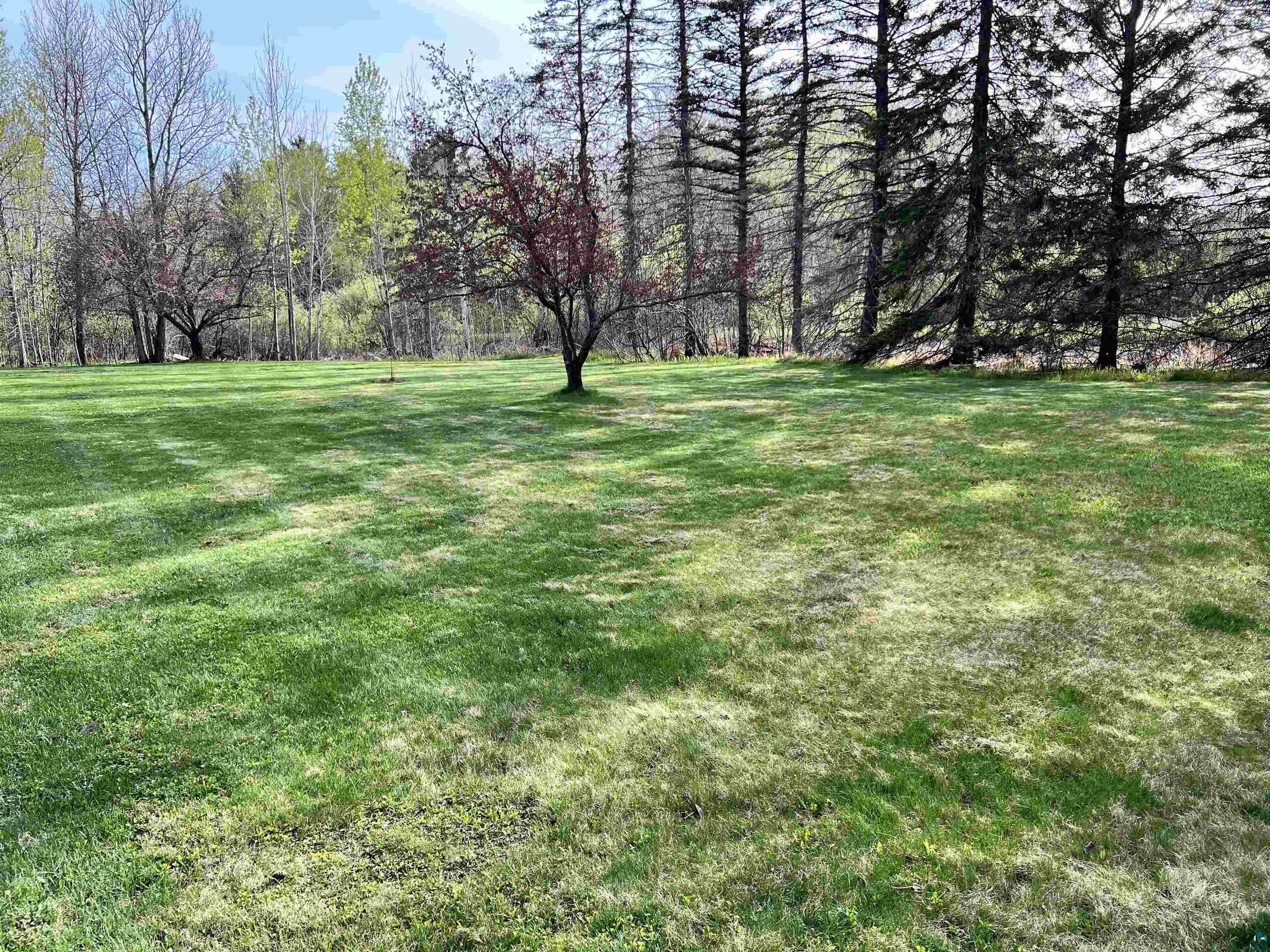 254 E Highway 61 Esko MN 55733 6125626 image23