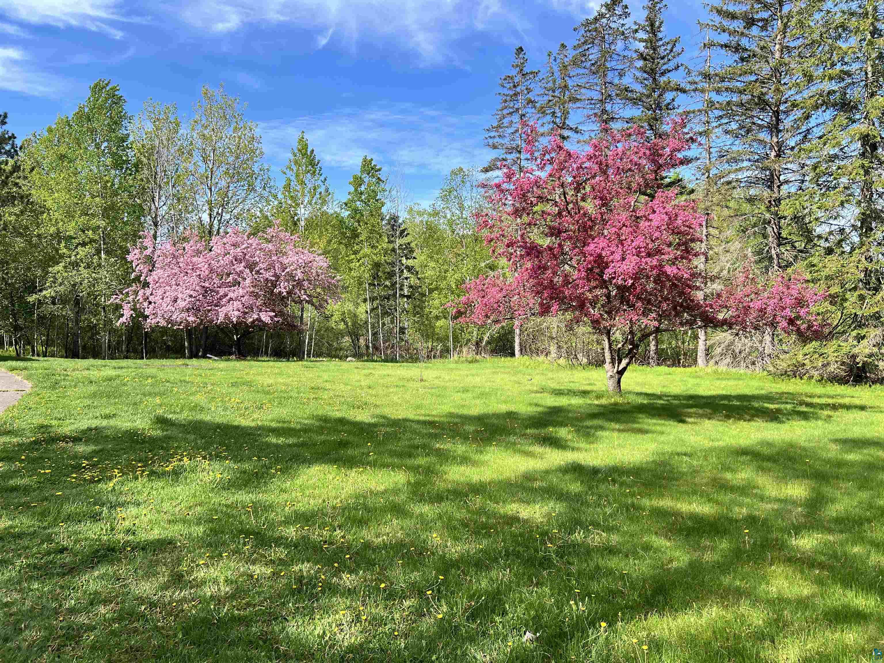 254 E Highway 61 Esko MN 55733 6125626 image3