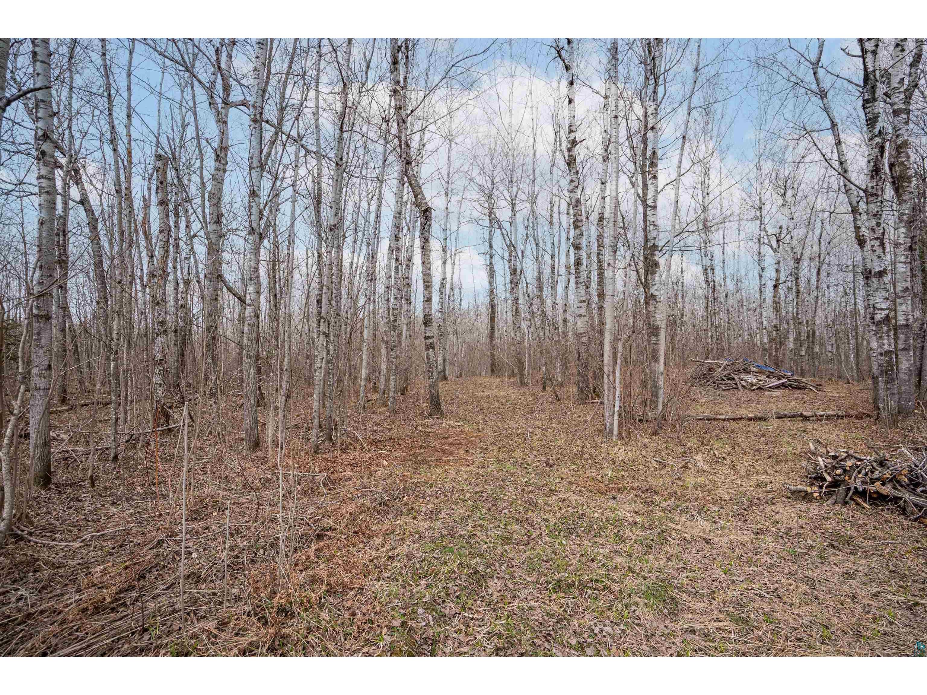 255 E Harney Rd Esko MN 55733 6125073 image9