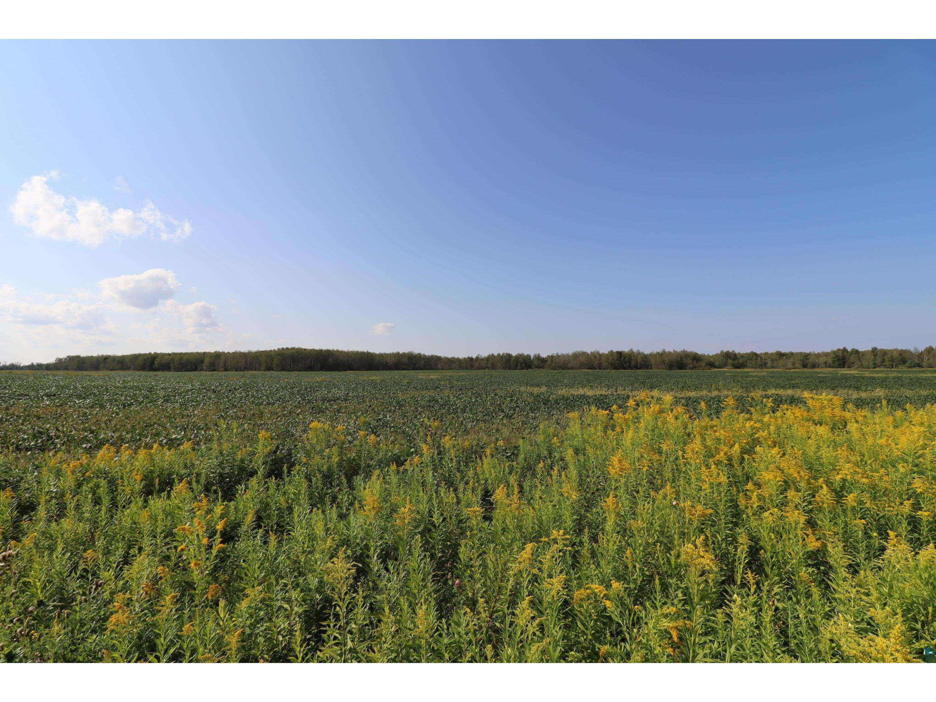 25720 Franzel Rd Mason WI 54856 6110391 image1