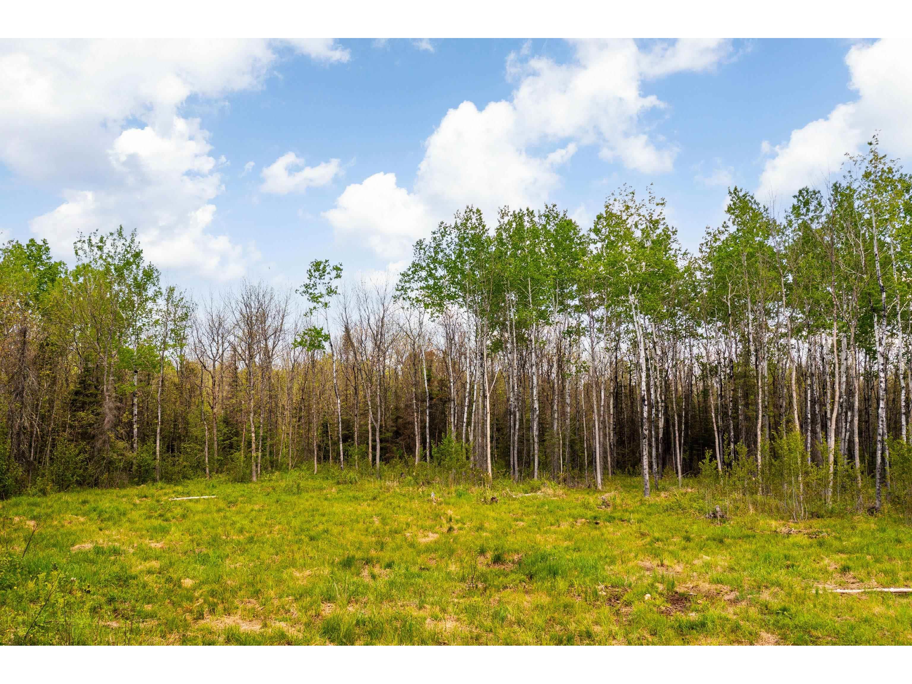 2597 Lauren Rd Duluth MN 55804 6123284 image21