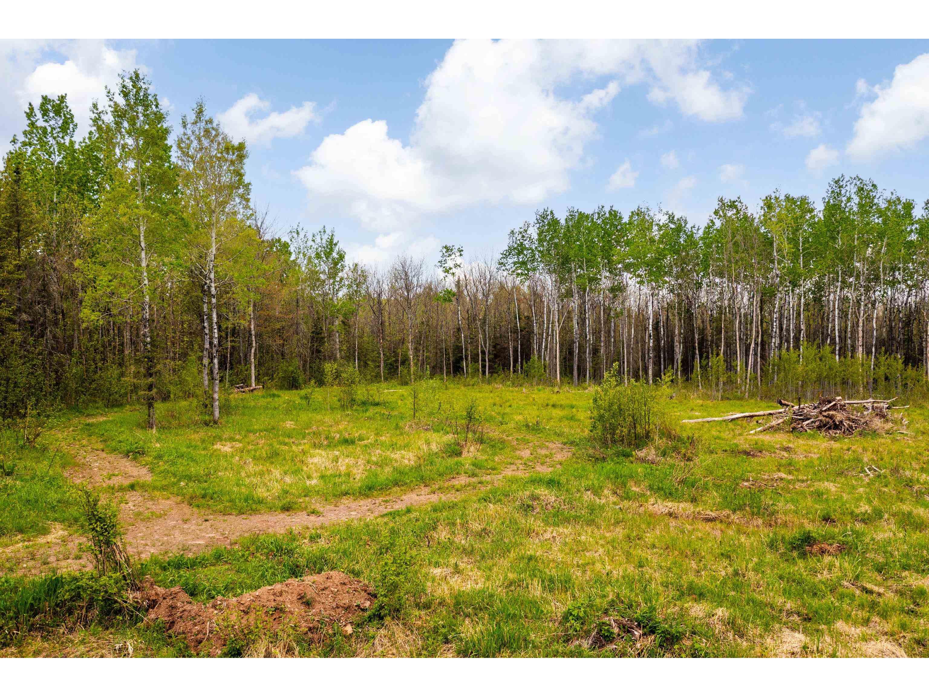 2597 Lauren Rd Duluth MN 55804 6123284 image24