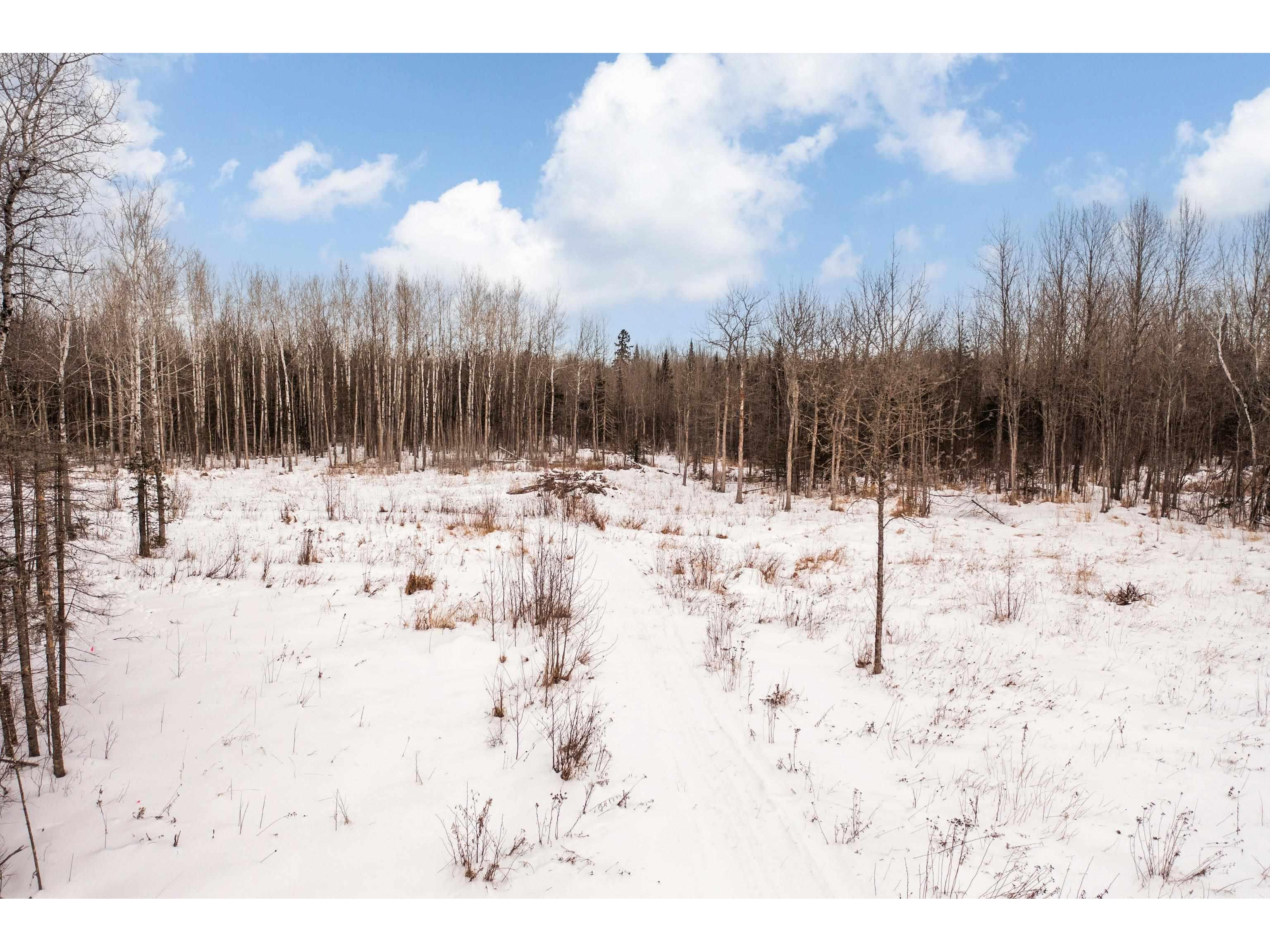 2597 Lauren Rd Duluth MN 55804 6123284 image7