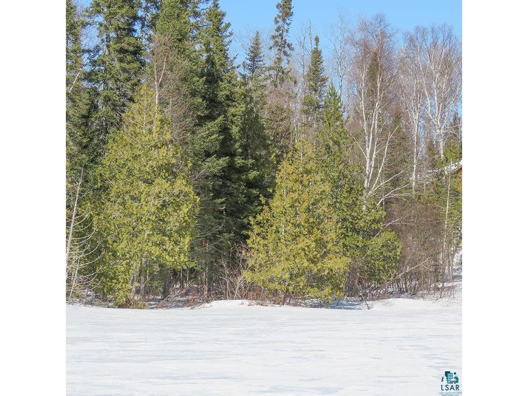 261 Caps Tr Lutsen MN 55612 - Tait 6124017 image66