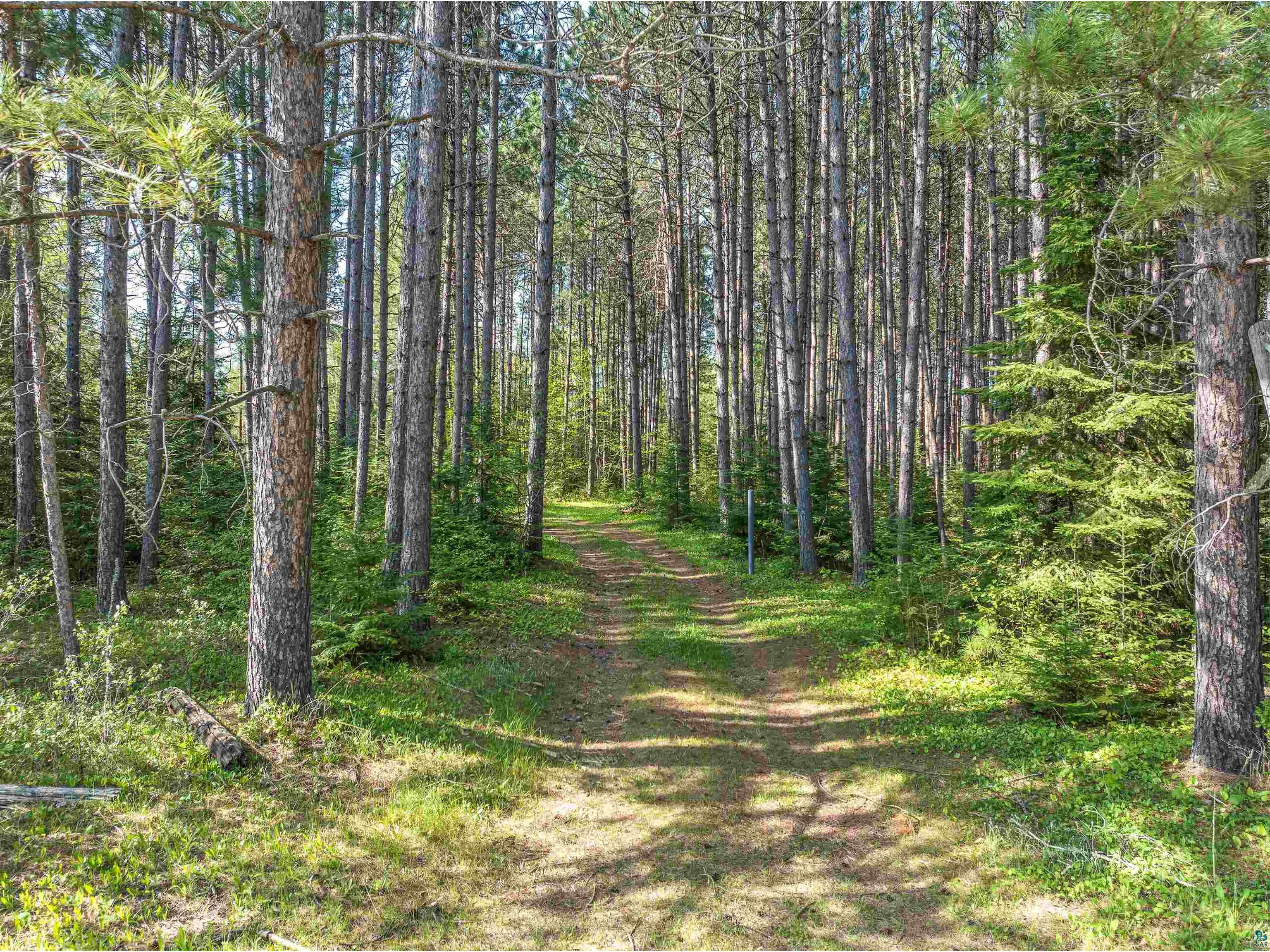 2685 Elliots Lake Rd Eveleth MN 55734 - Elliot 6125632 image11