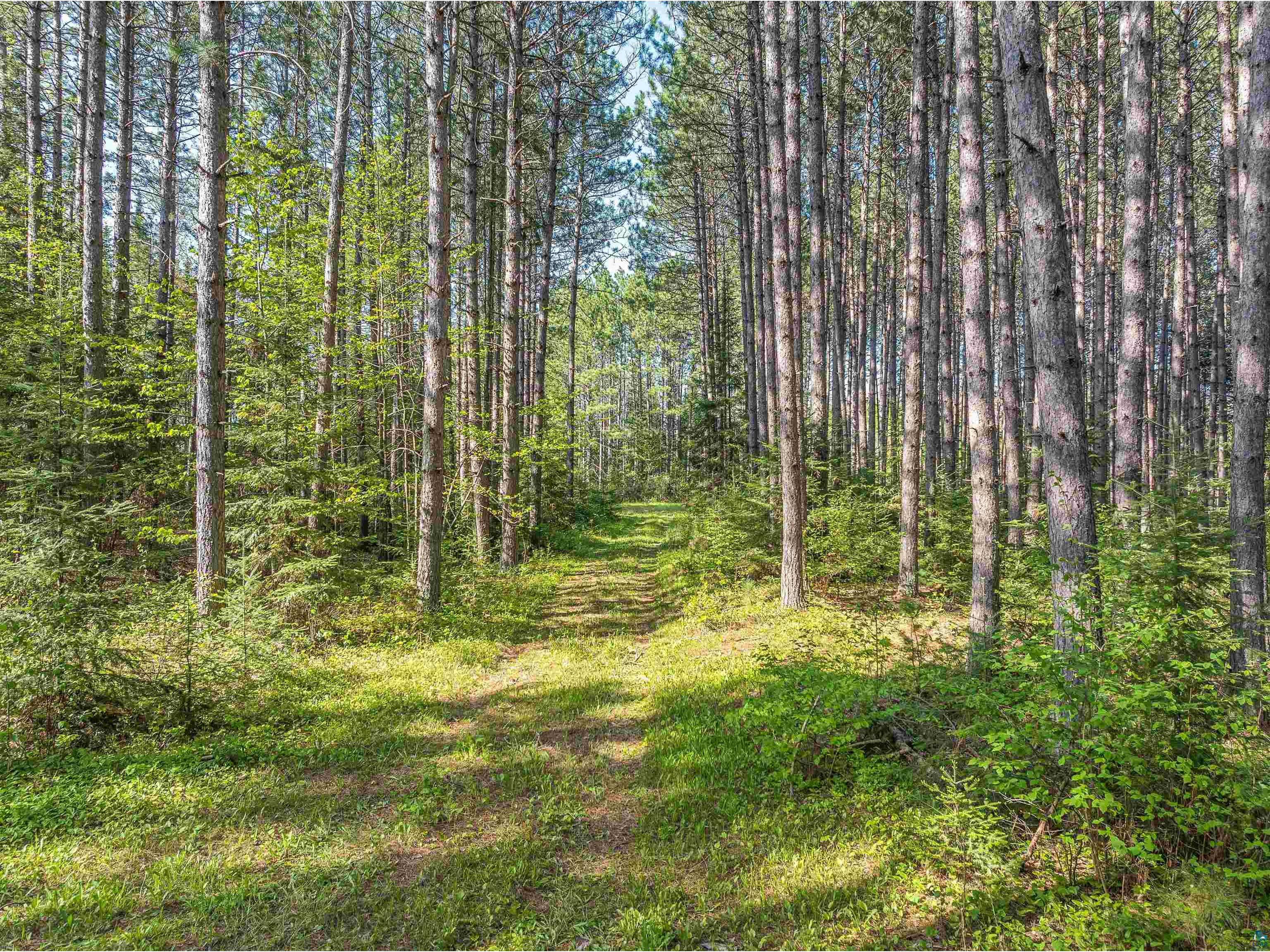 2685 Elliots Lake Rd Eveleth MN 55734 - Elliot 6125632 image17