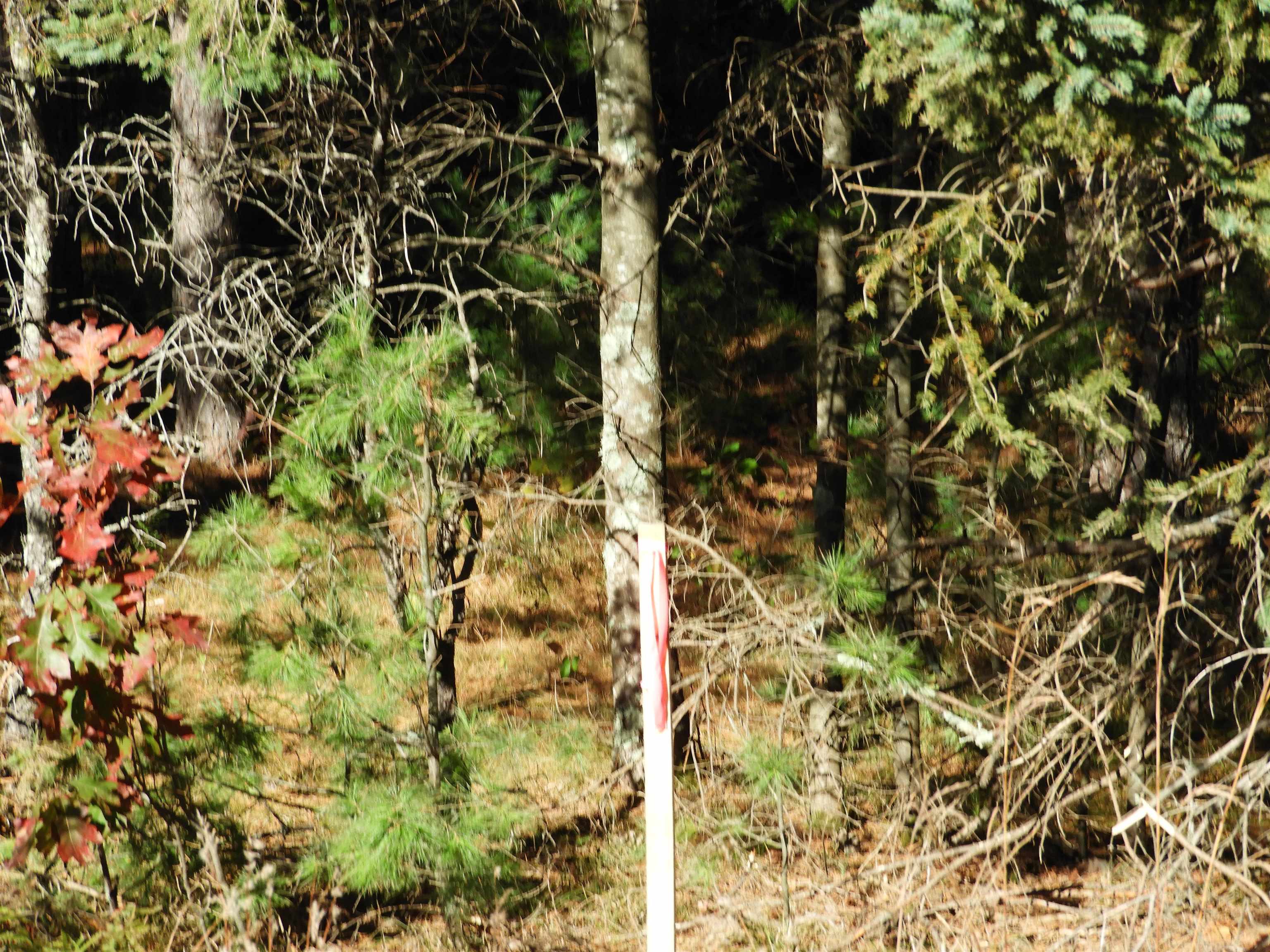 26XX Ellison Lake Rd Barnes WI 54873 6122407 image1