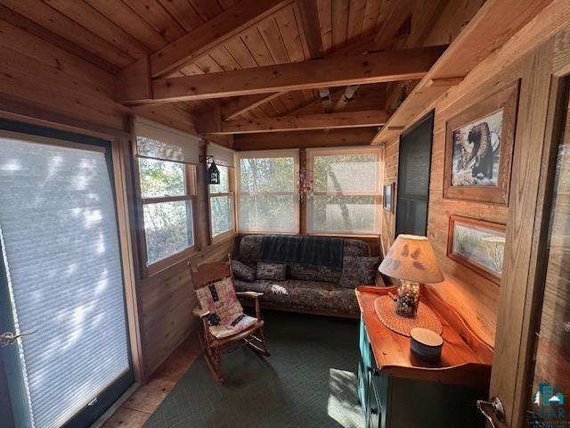 2734 Bear Island River Rd Ely MN 55731 - Bear Island Lake 6124119 image11