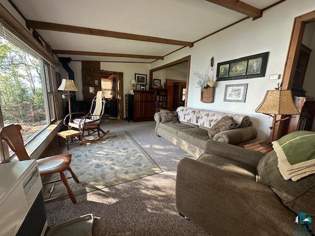 2734 Bear Island River Rd Ely MN 55731 - Bear Island Lake 6124119 image17