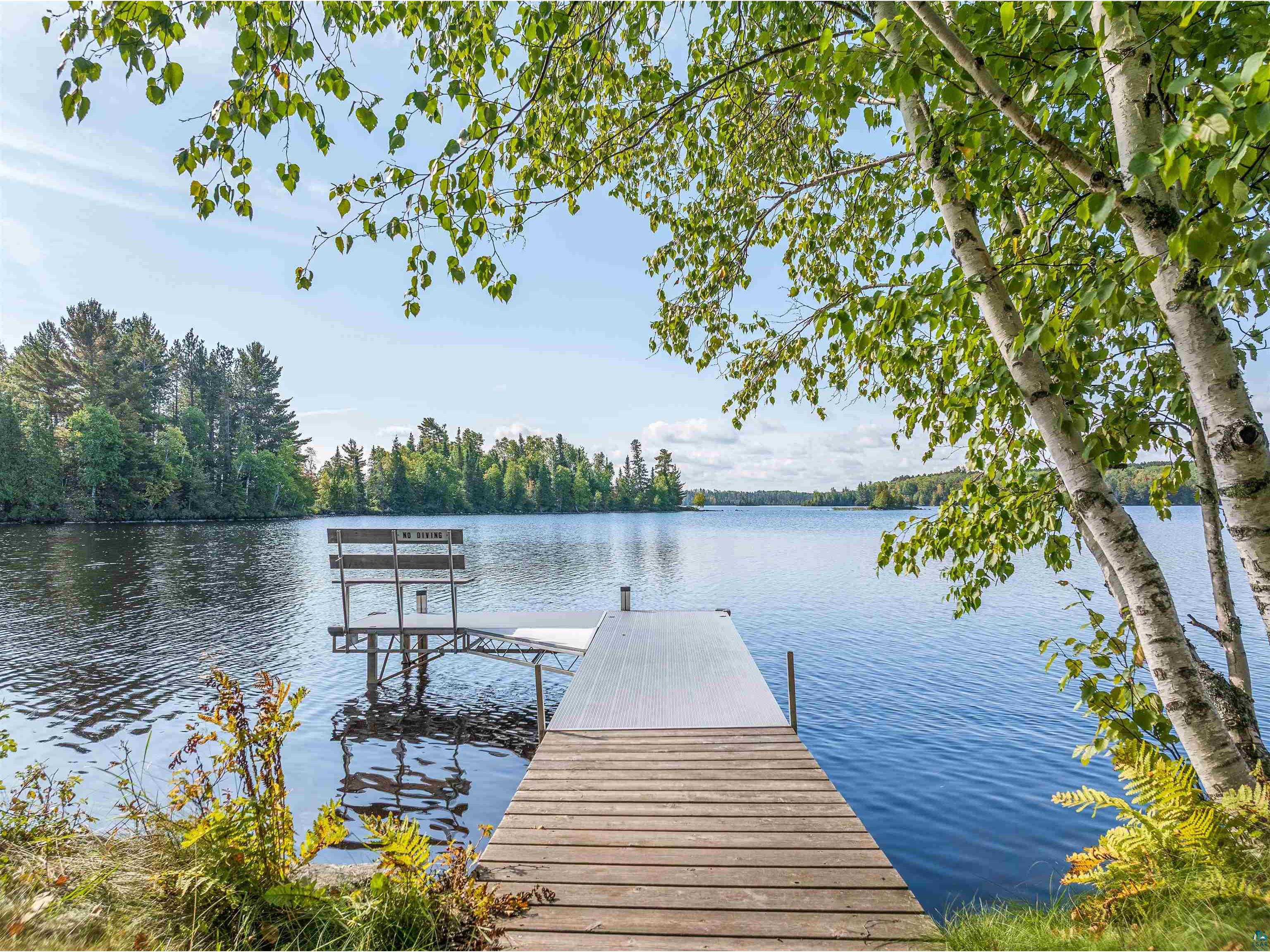 2734 Bear Island River Rd Ely MN 55731 - Bear Island Lake 6124119 image2
