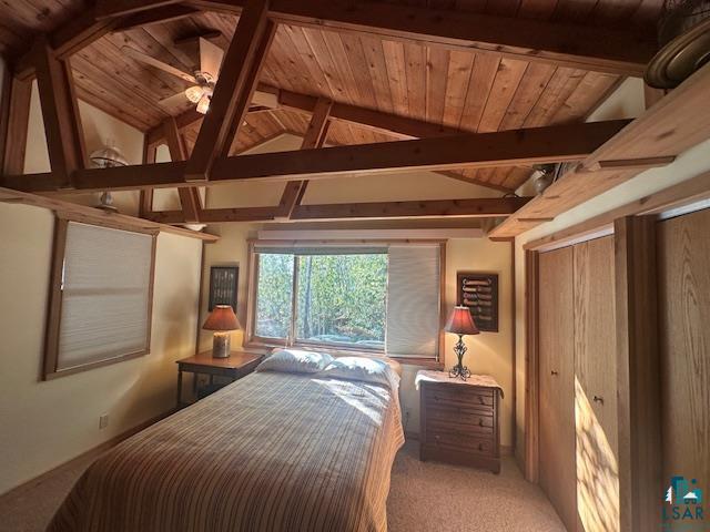 2734 Bear Island River Rd Ely MN 55731 - Bear Island Lake 6124119 image27